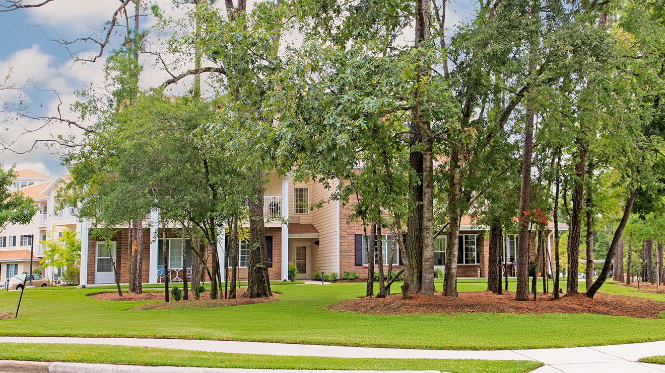 Cypress Woods 2