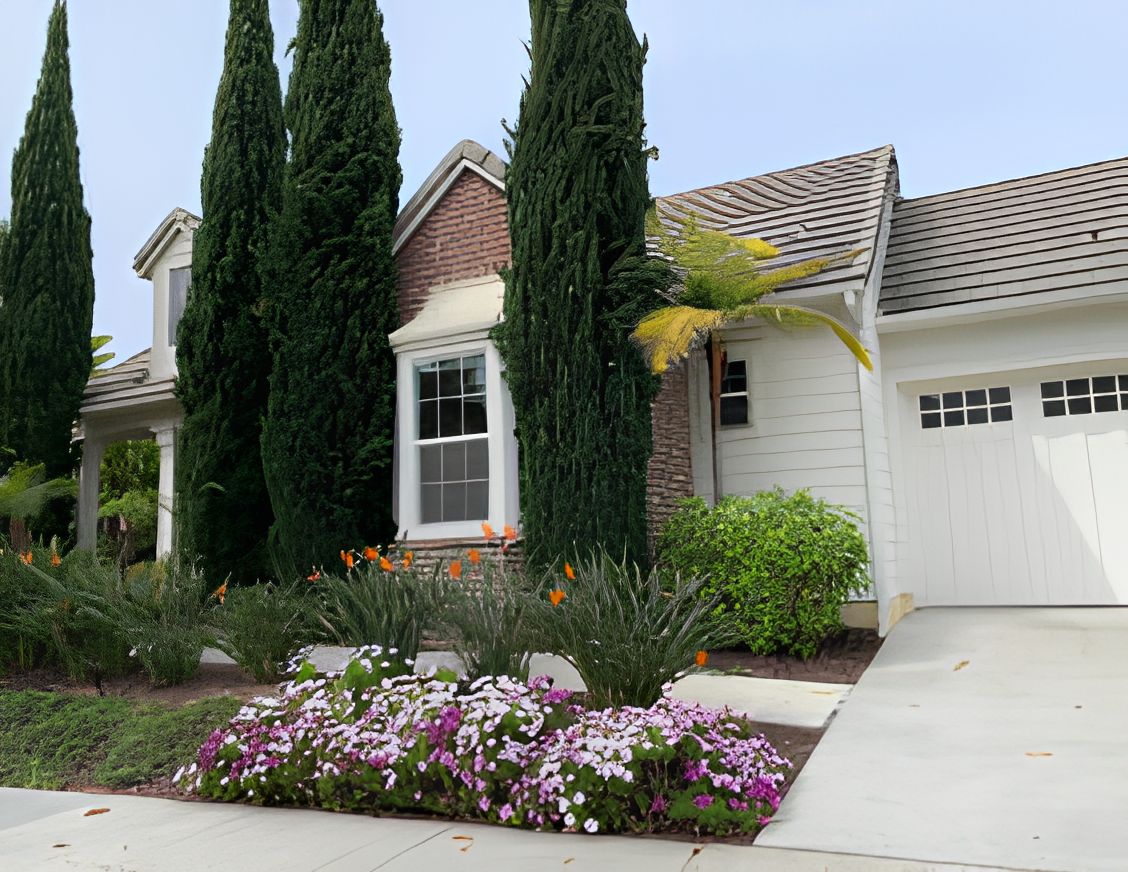 Carlsbad Comfort Care 2