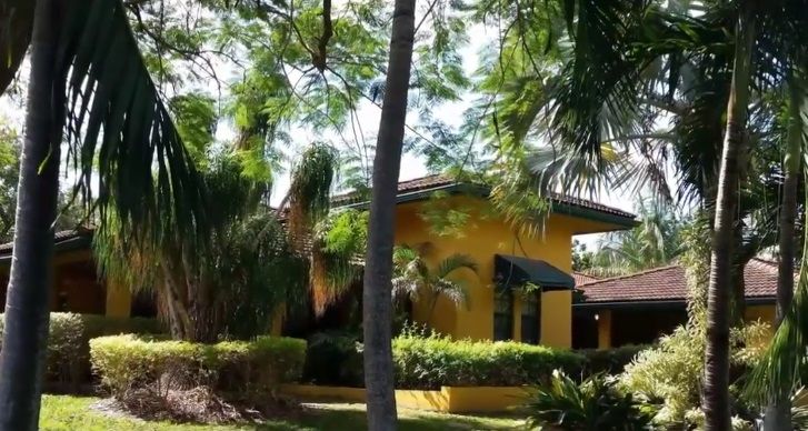 Silver Palm II 1