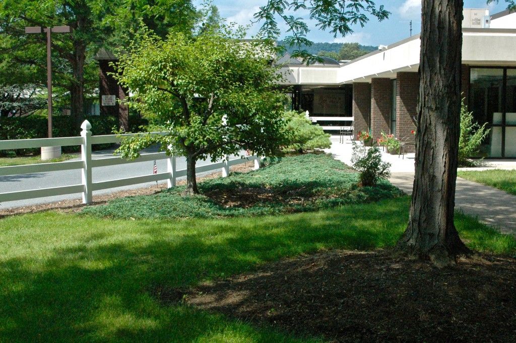 The Terraces at Capitol Village 1