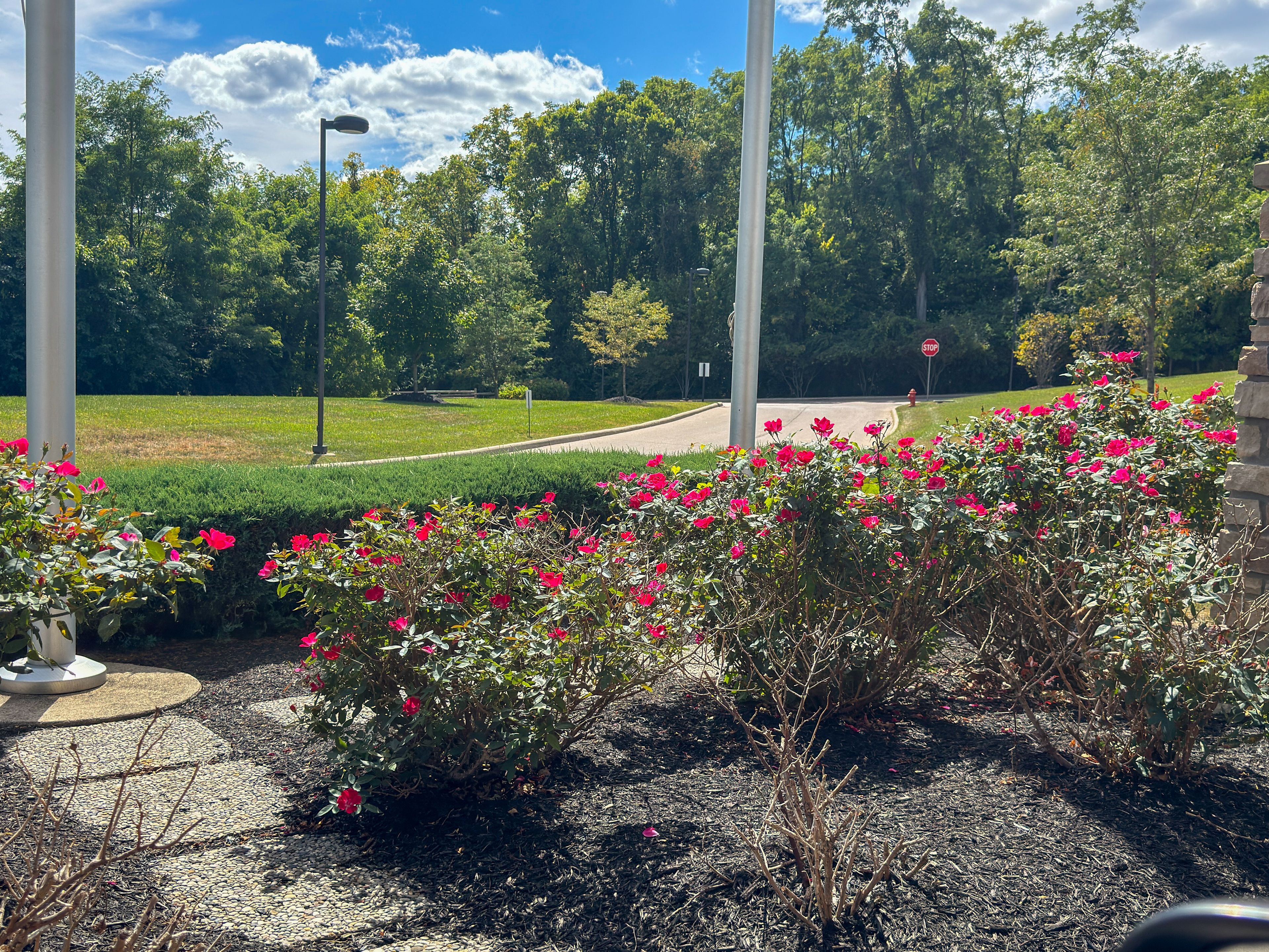 Traditions of Beavercreek 2