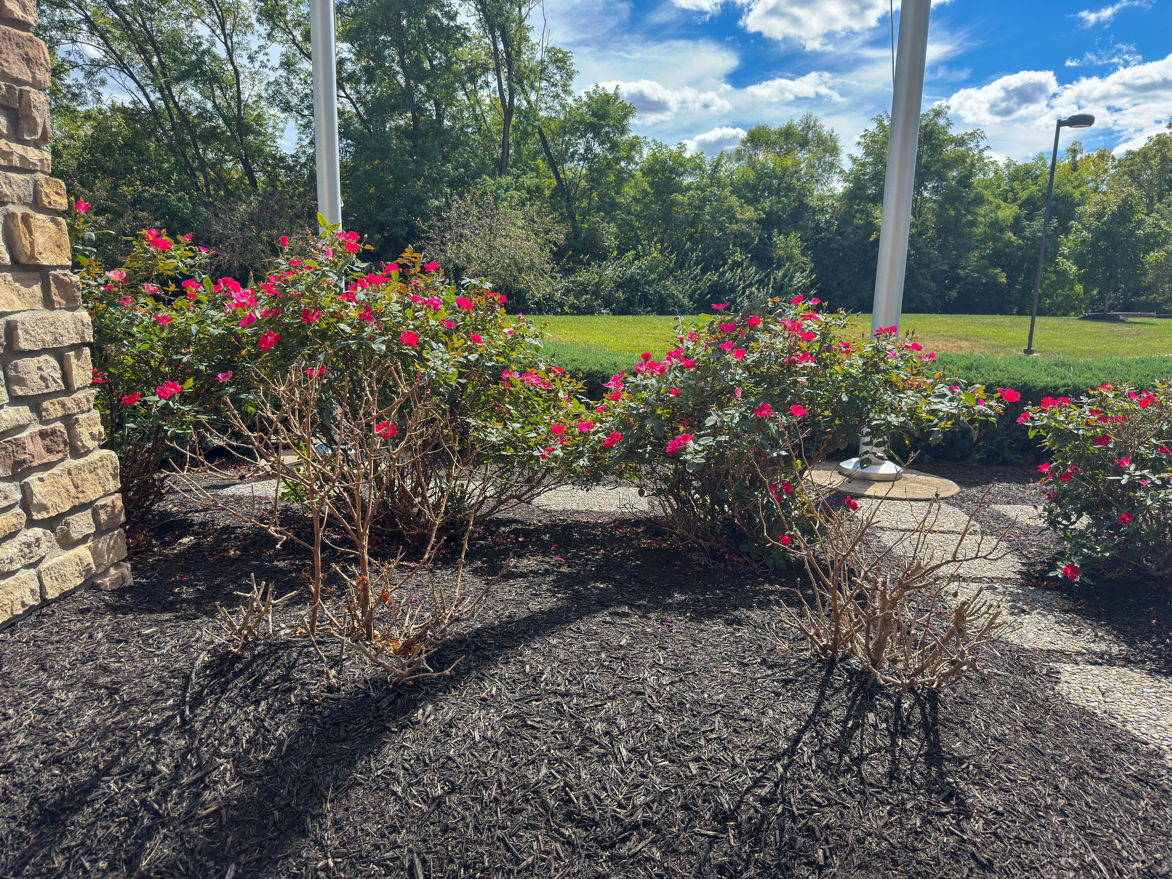 Traditions of Beavercreek 3