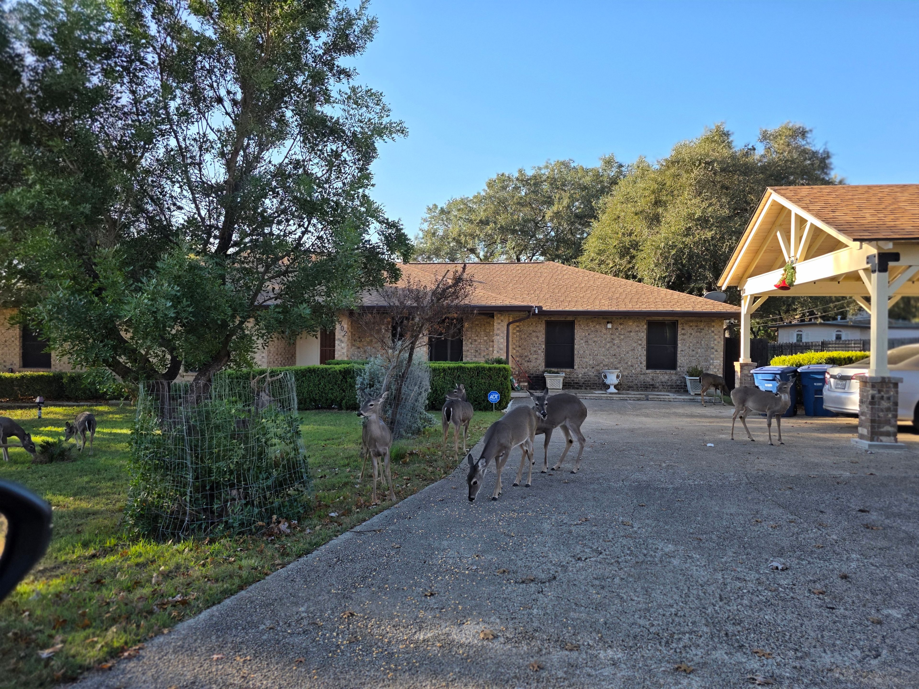 Mi Casa Es Su Casa 4