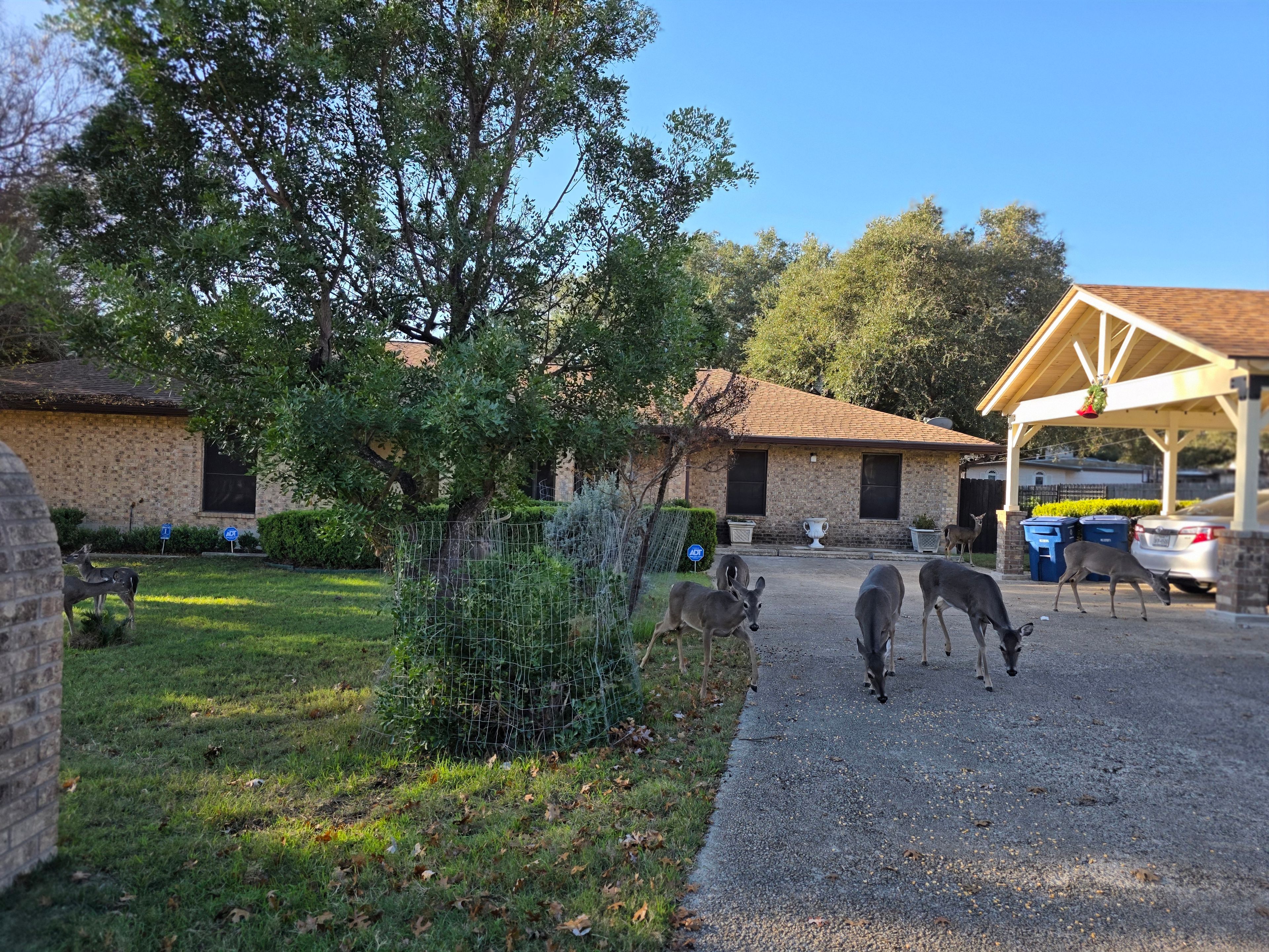 Mi Casa Es Su Casa 4