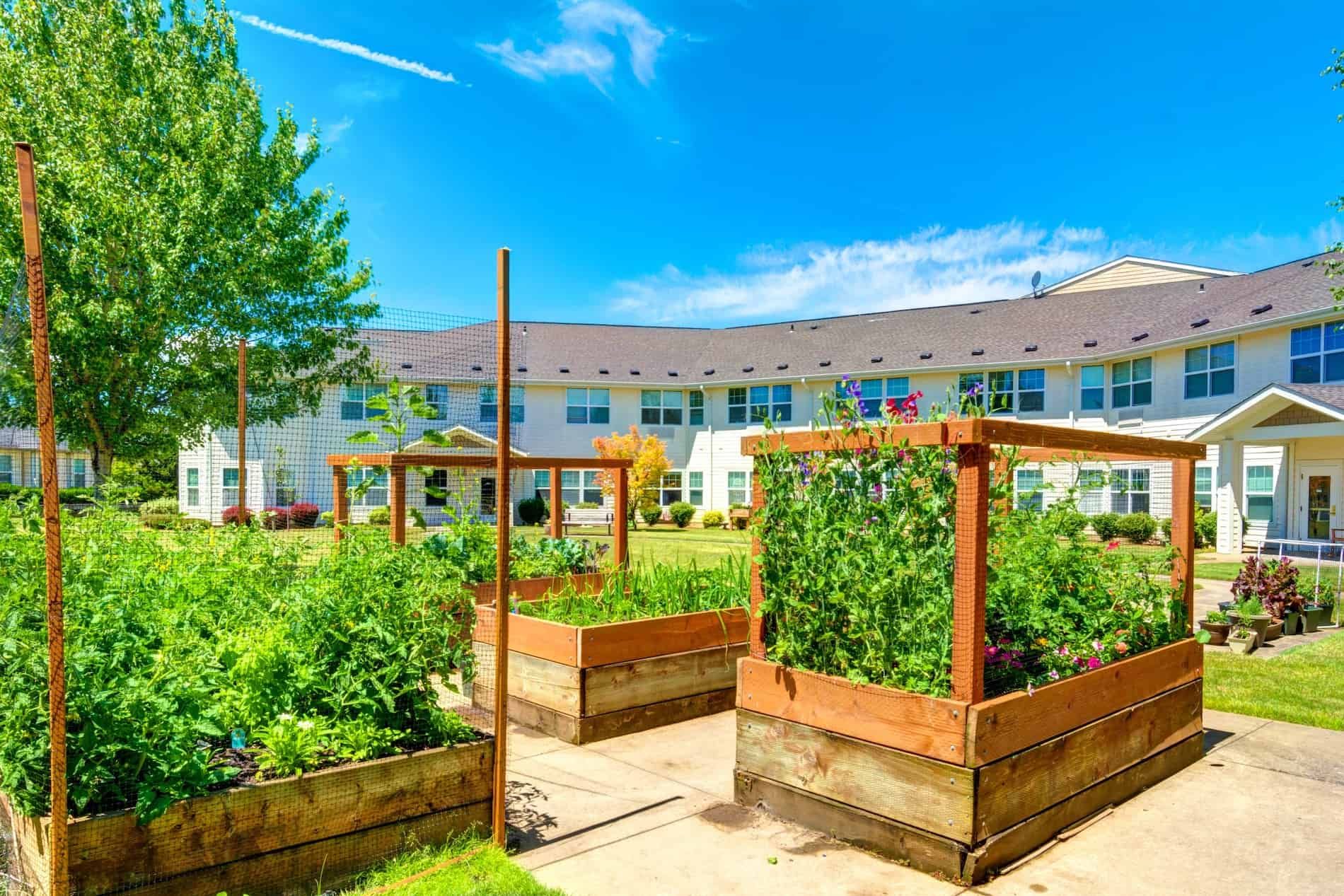 Vineyard Heights Assisted Living 4
