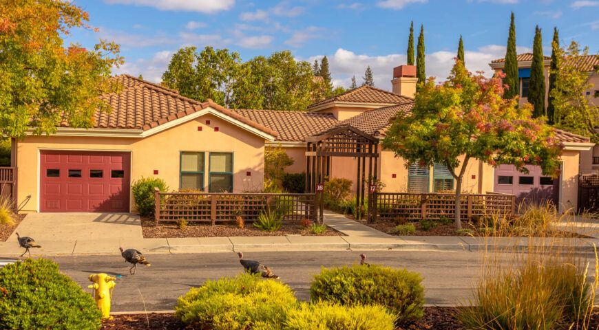 The Forum at Rancho San Antonio 4