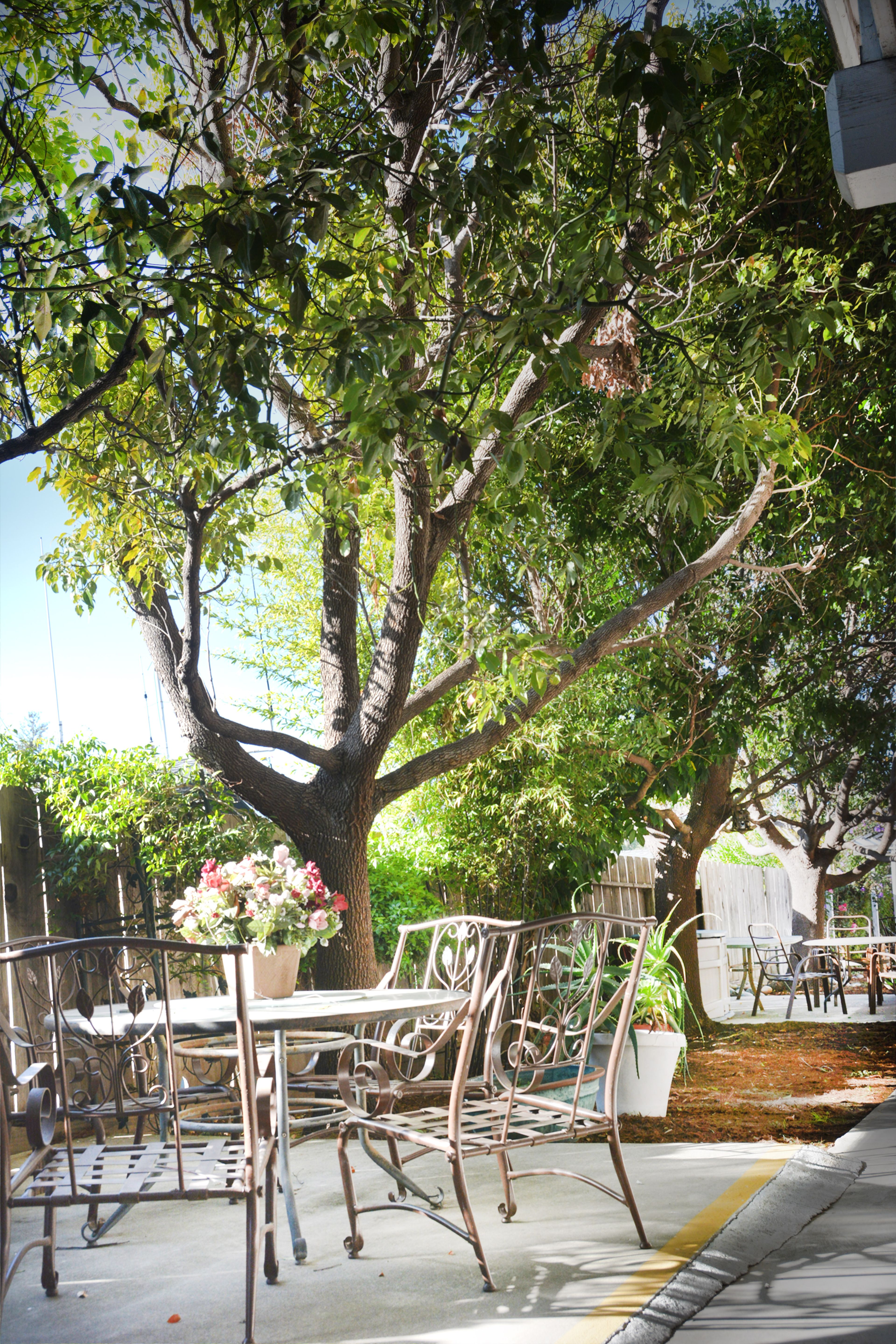 Paradise Villa 1
