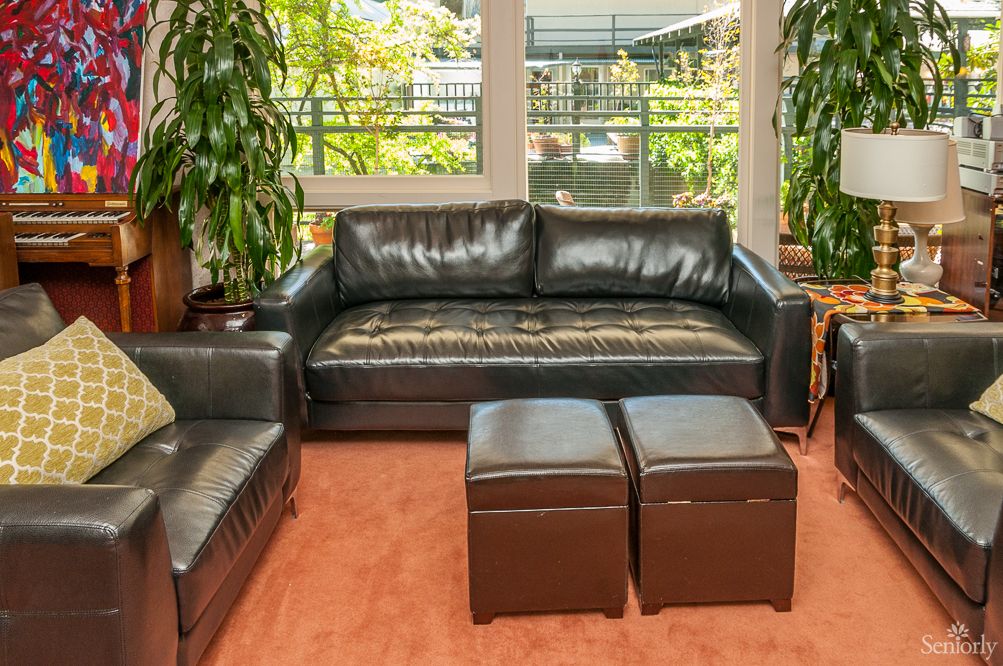 Marin Terrace 3