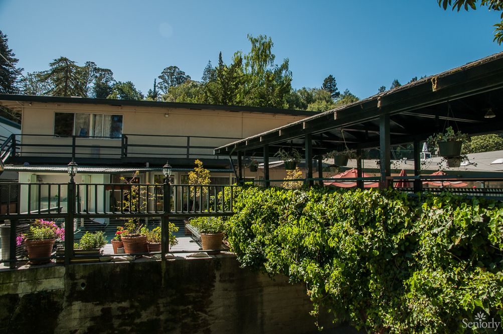 Marin Terrace 2