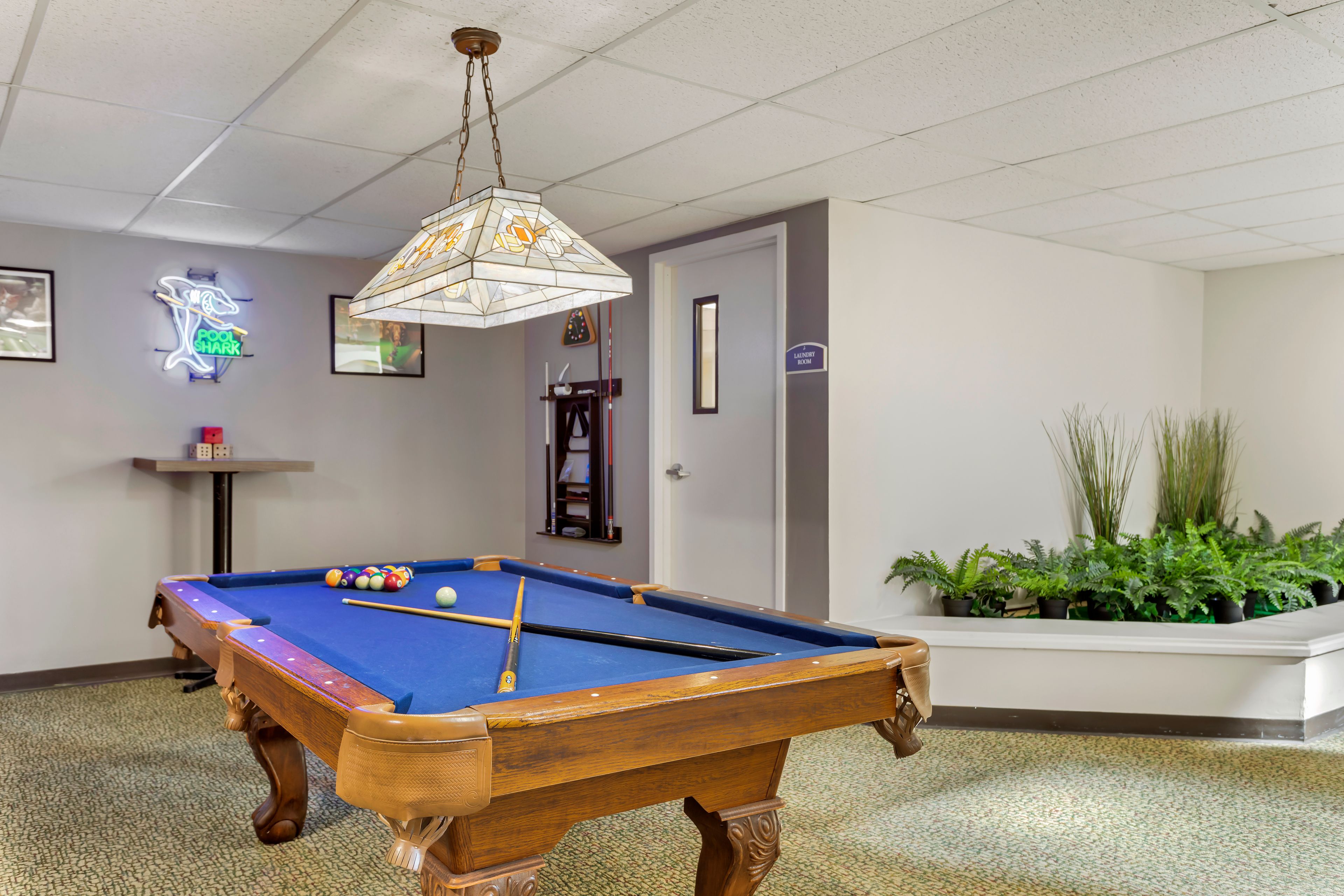 Brookdale Mandarin 4