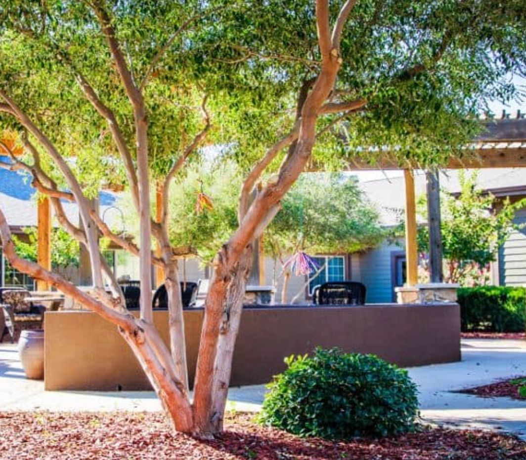 Legacy Ranch 2