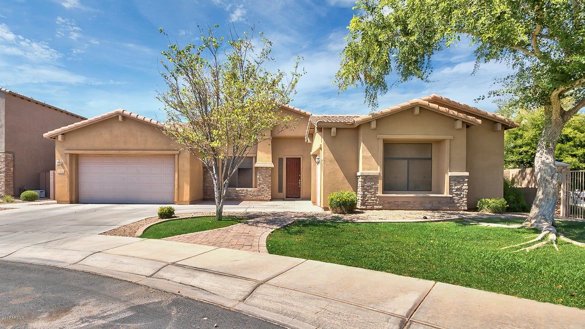 New Beginnings Chandler 1