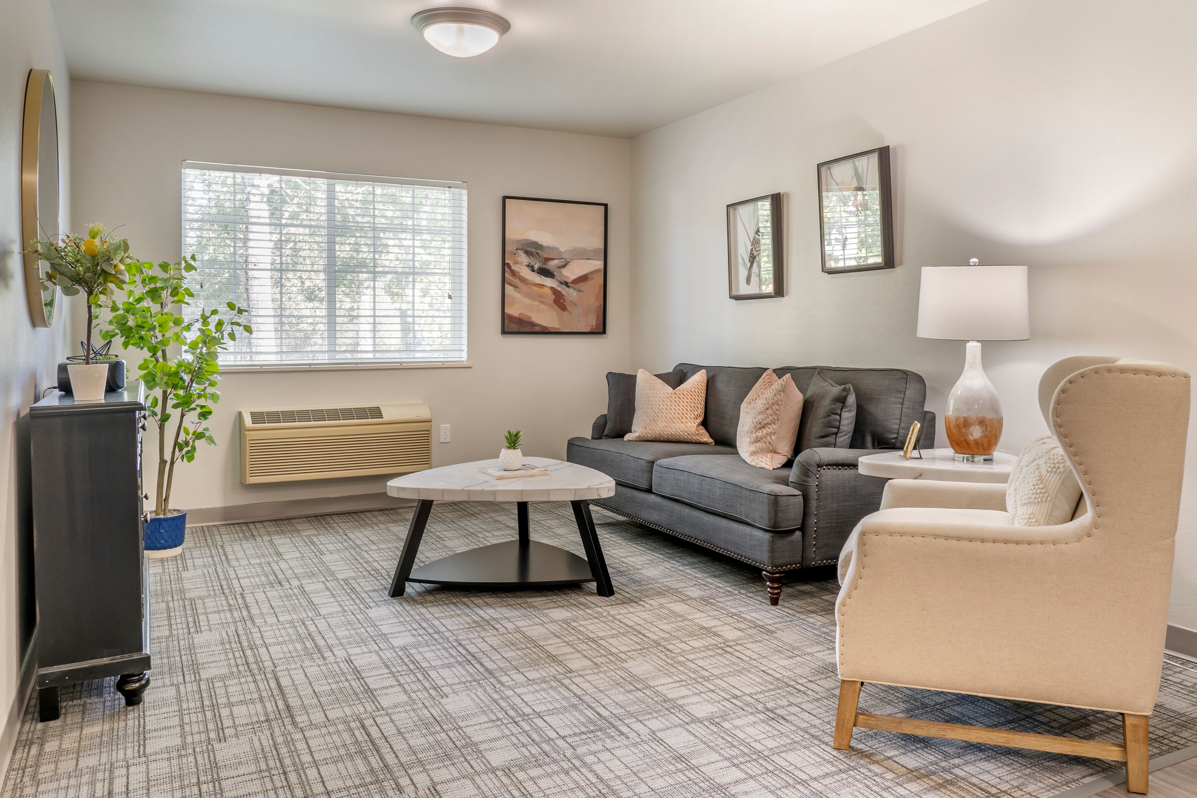 Brookdale Springmeadows 4