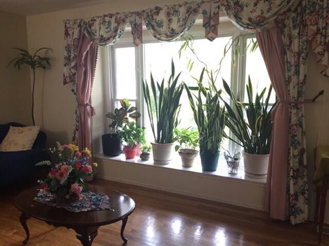 Orchard Hills Living 4