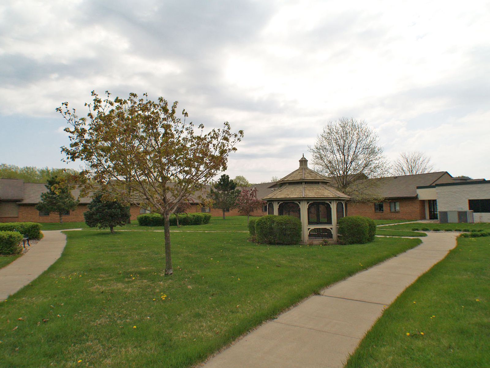 The Willows 2
