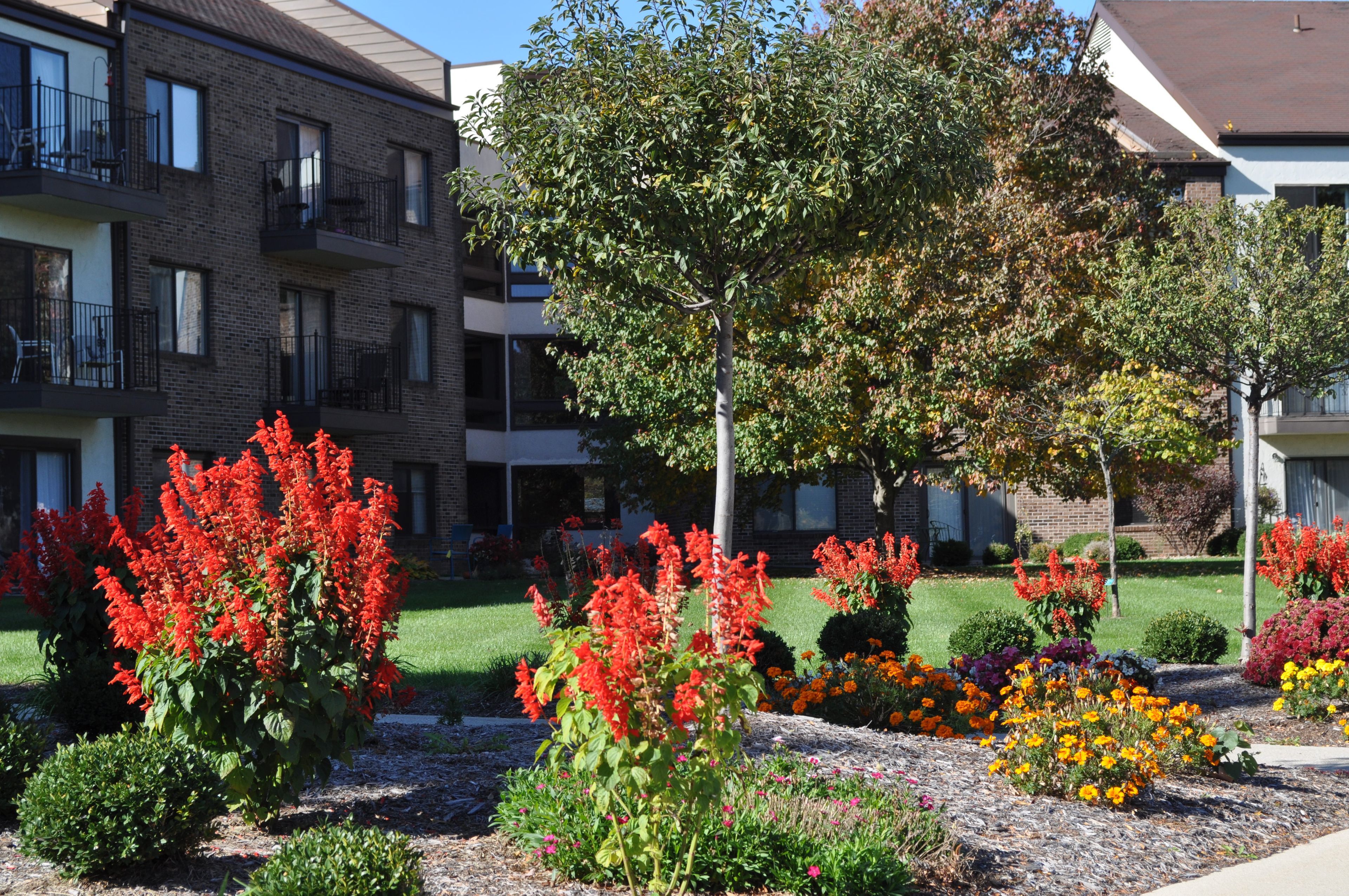 Westminster Village 2