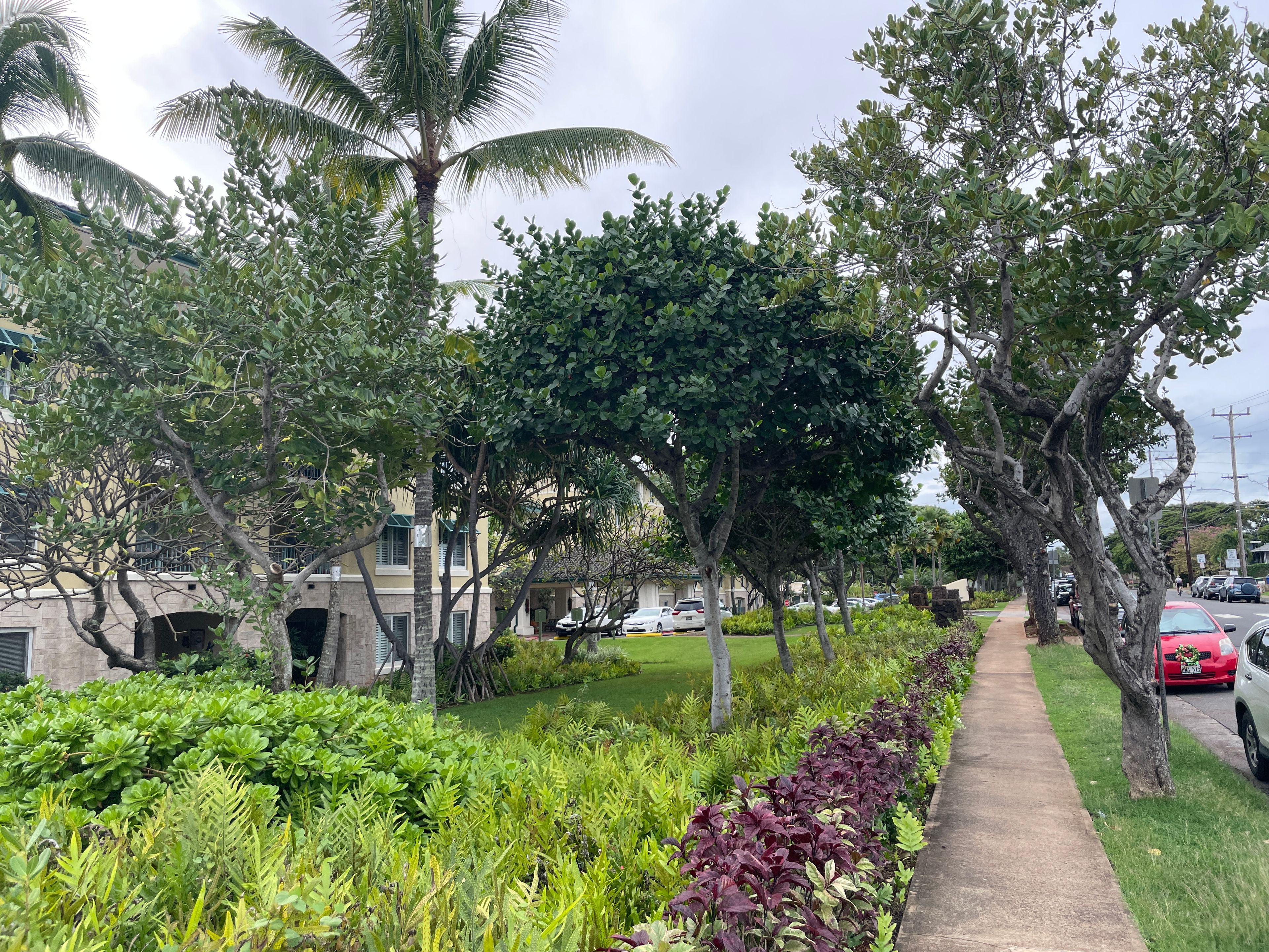 Kāhala Nui 2