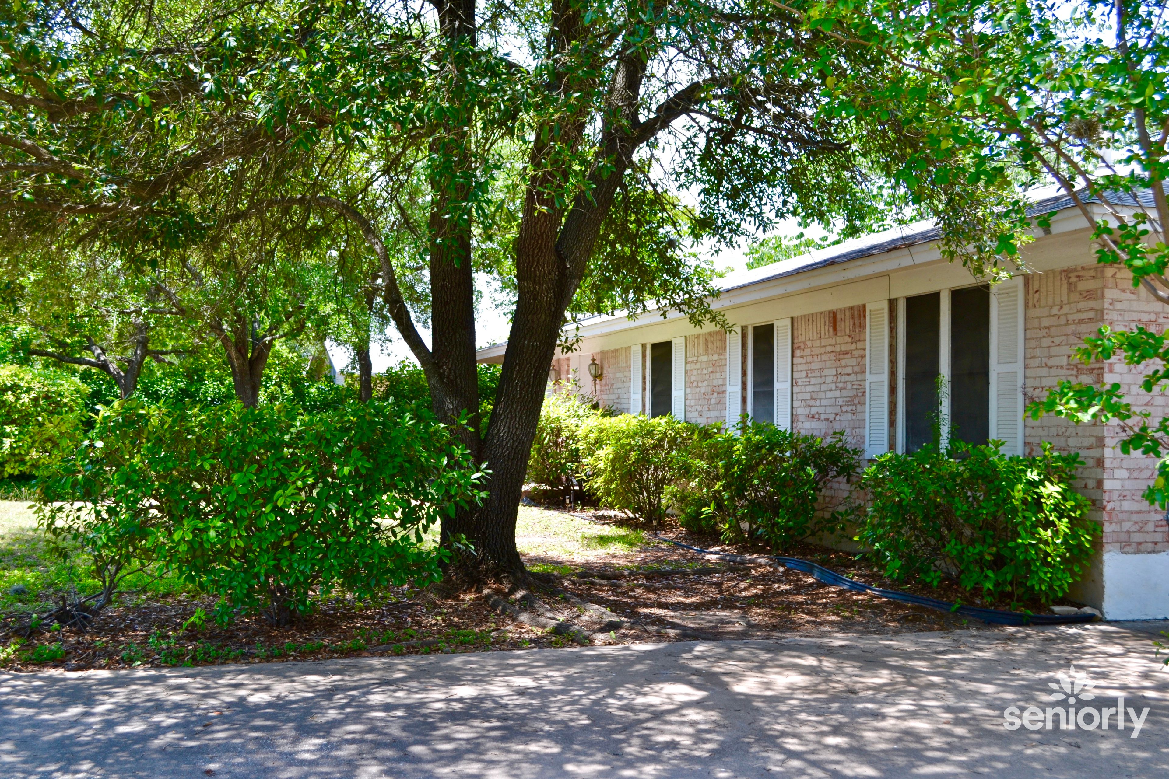 Austin Senior Care 3
