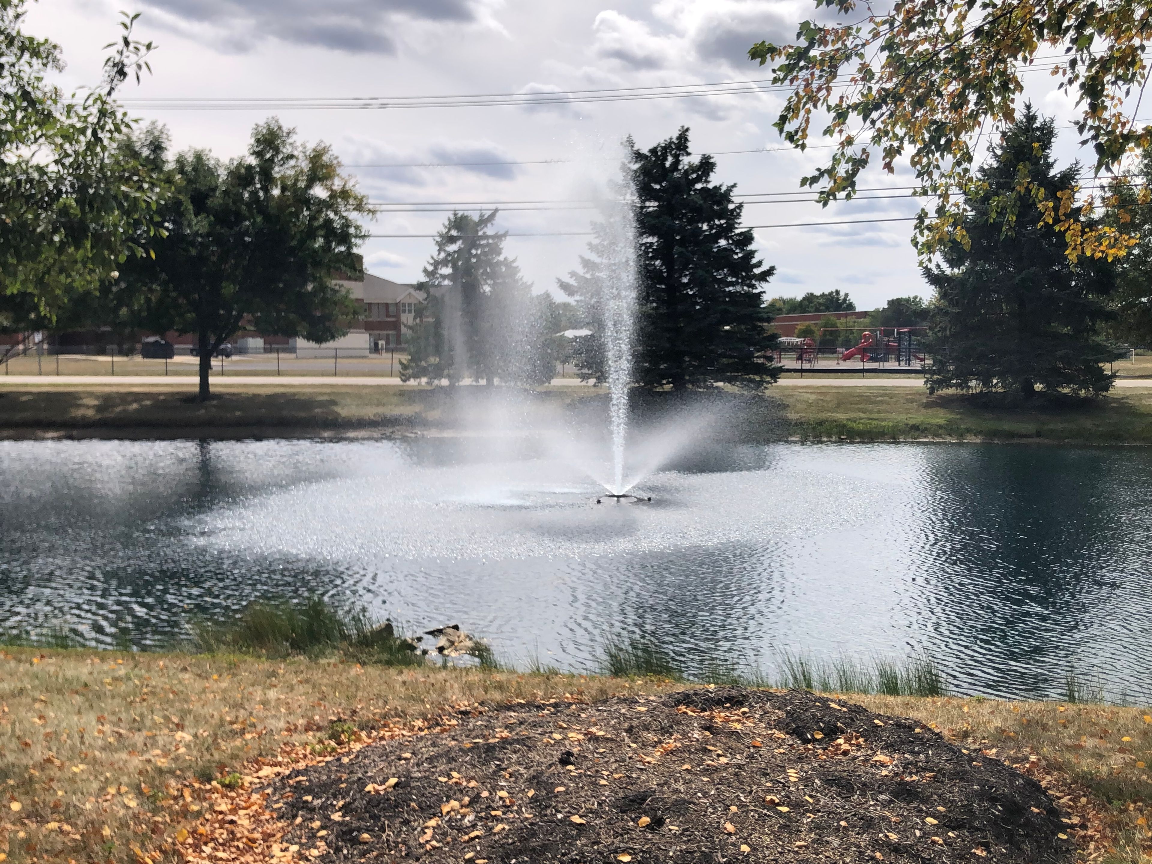 Feridean Commons 4