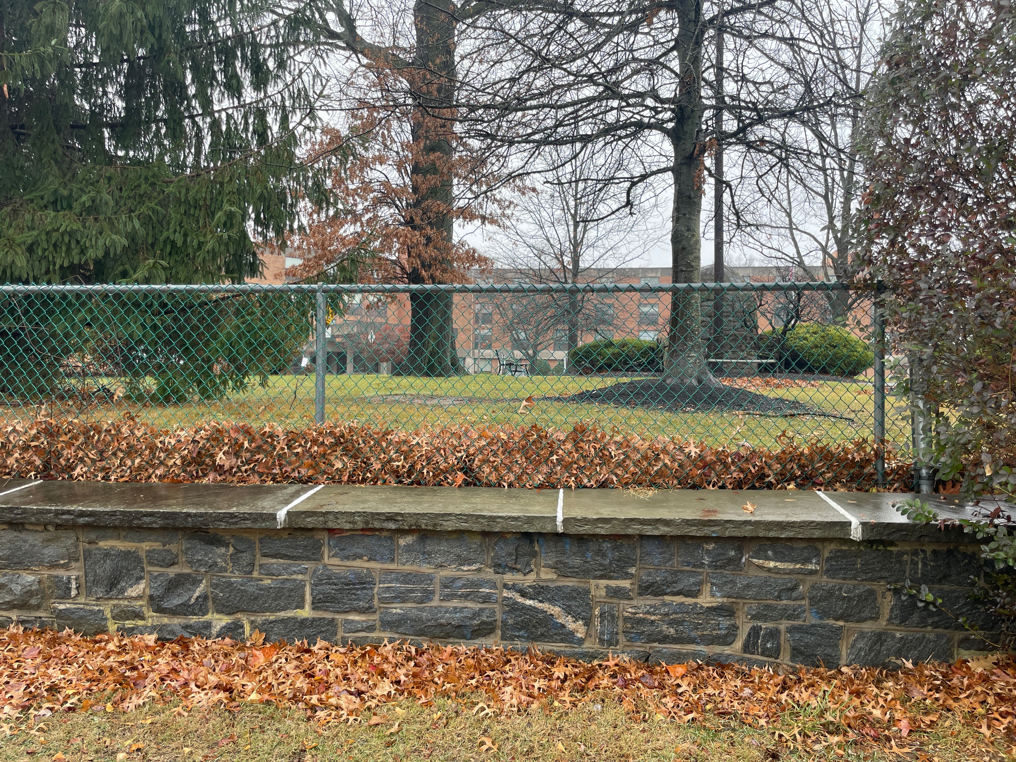 Immaculatemarycenter for Rehabilitation & Healthcare 4