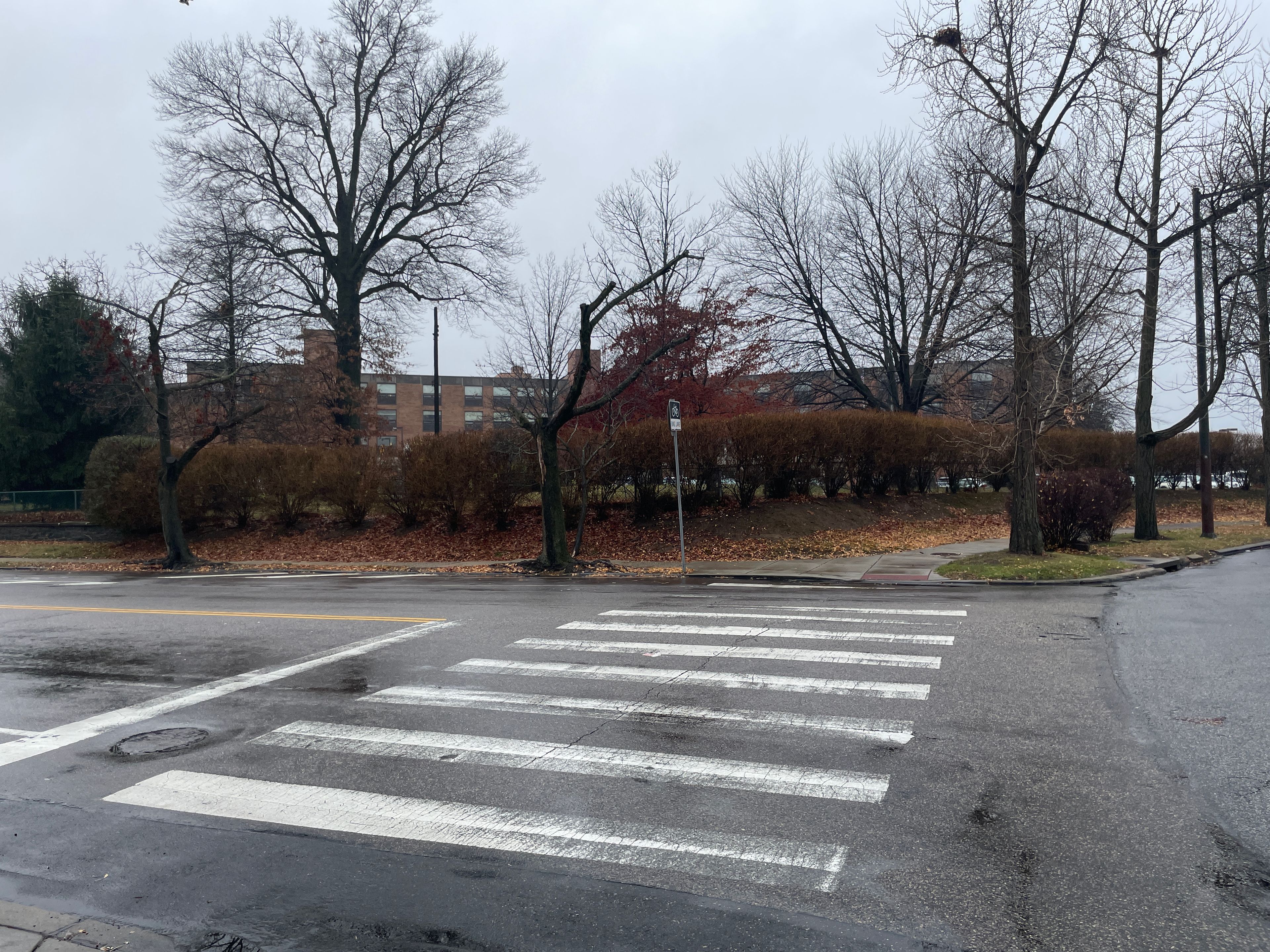 Immaculatemarycenter for Rehabilitation & Healthcare 2
