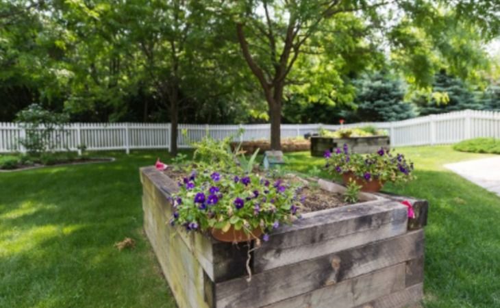 Homestead Living 2