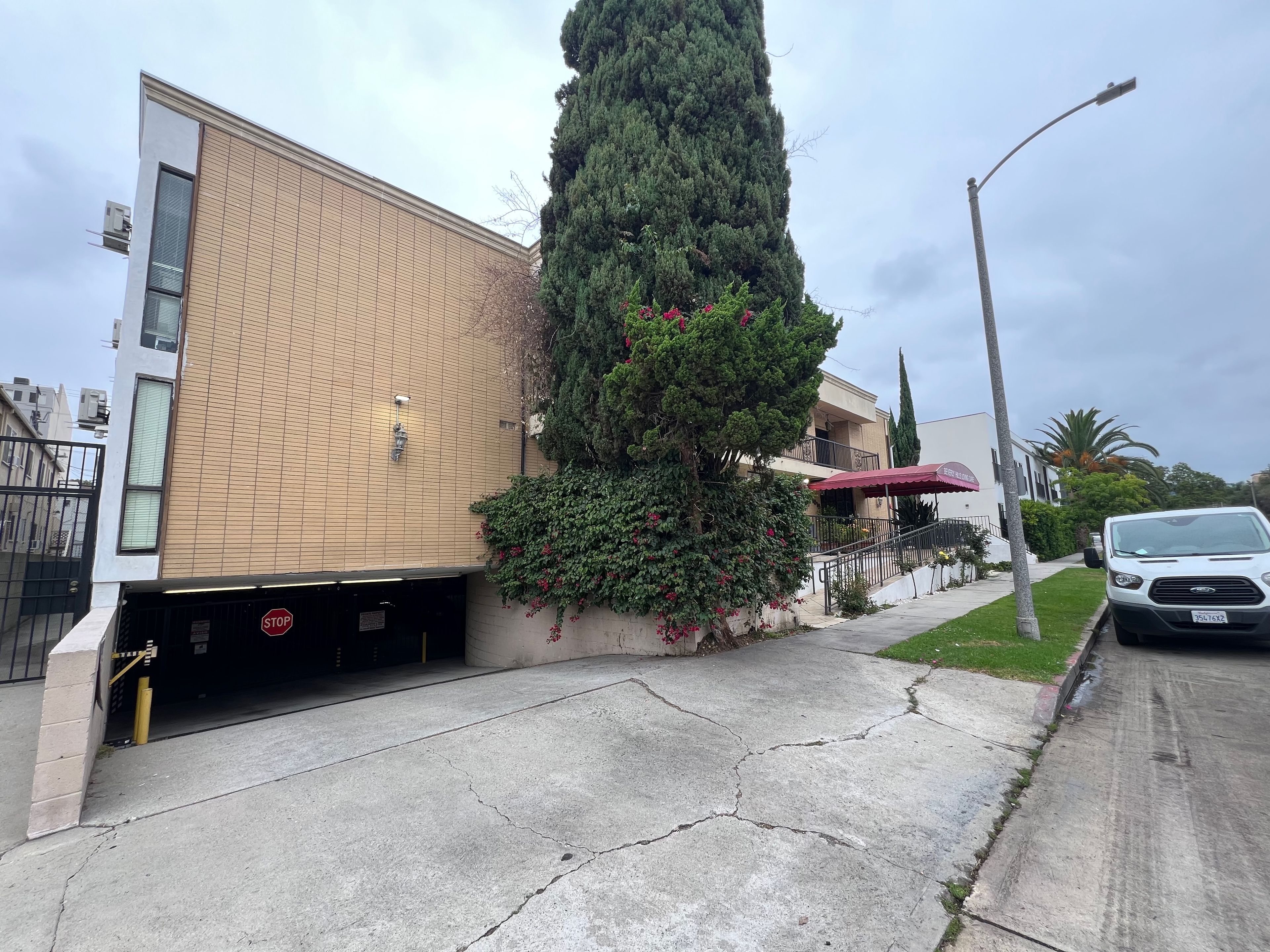 Beverly Hills Loving Care 2