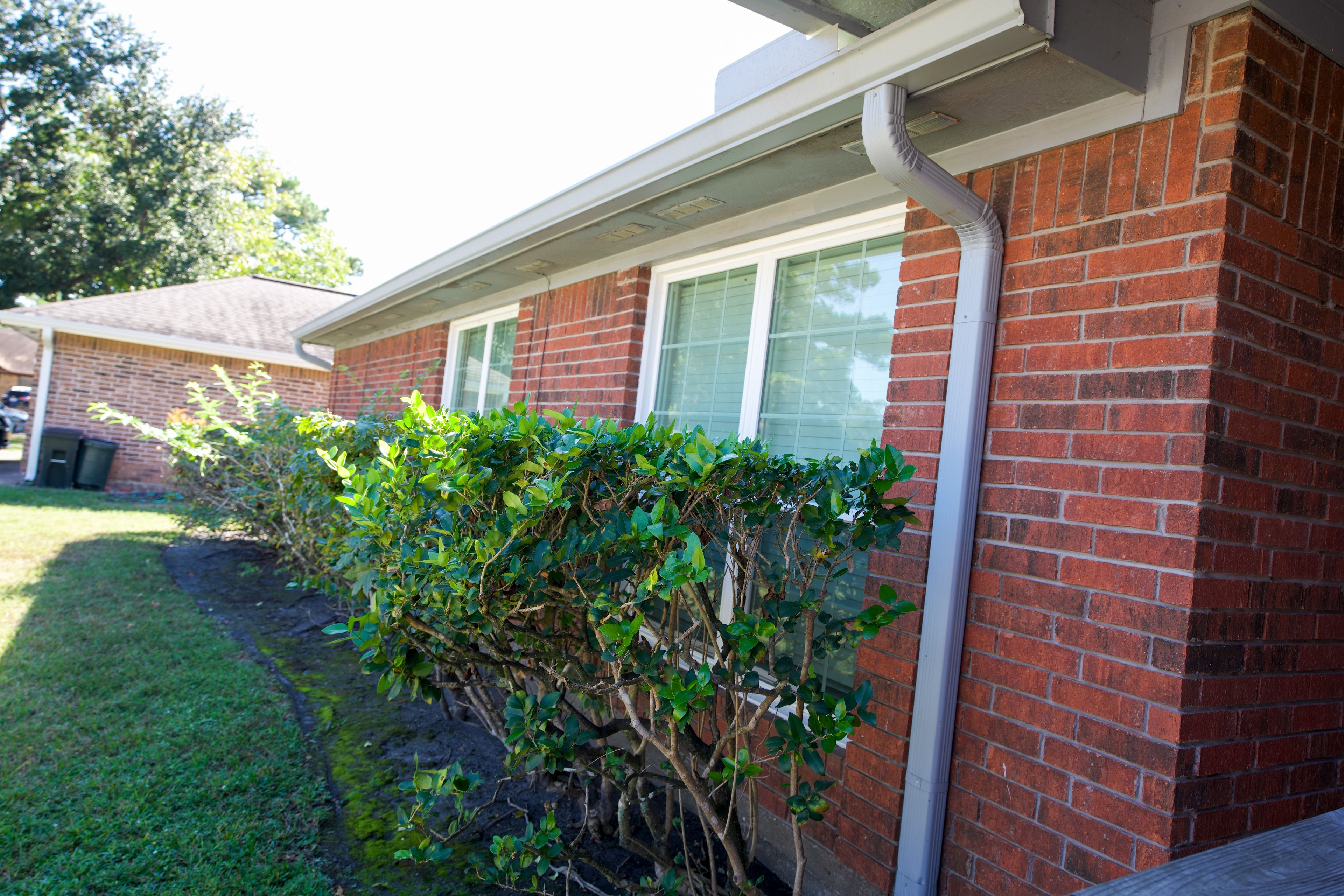 Crimson Heights Health & Wellness 2