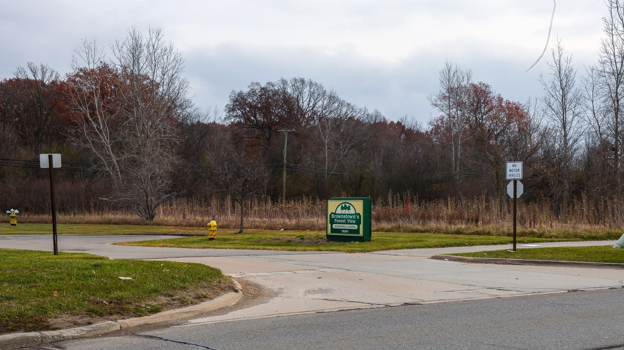 Brownstown Forest View Assisted Living 4