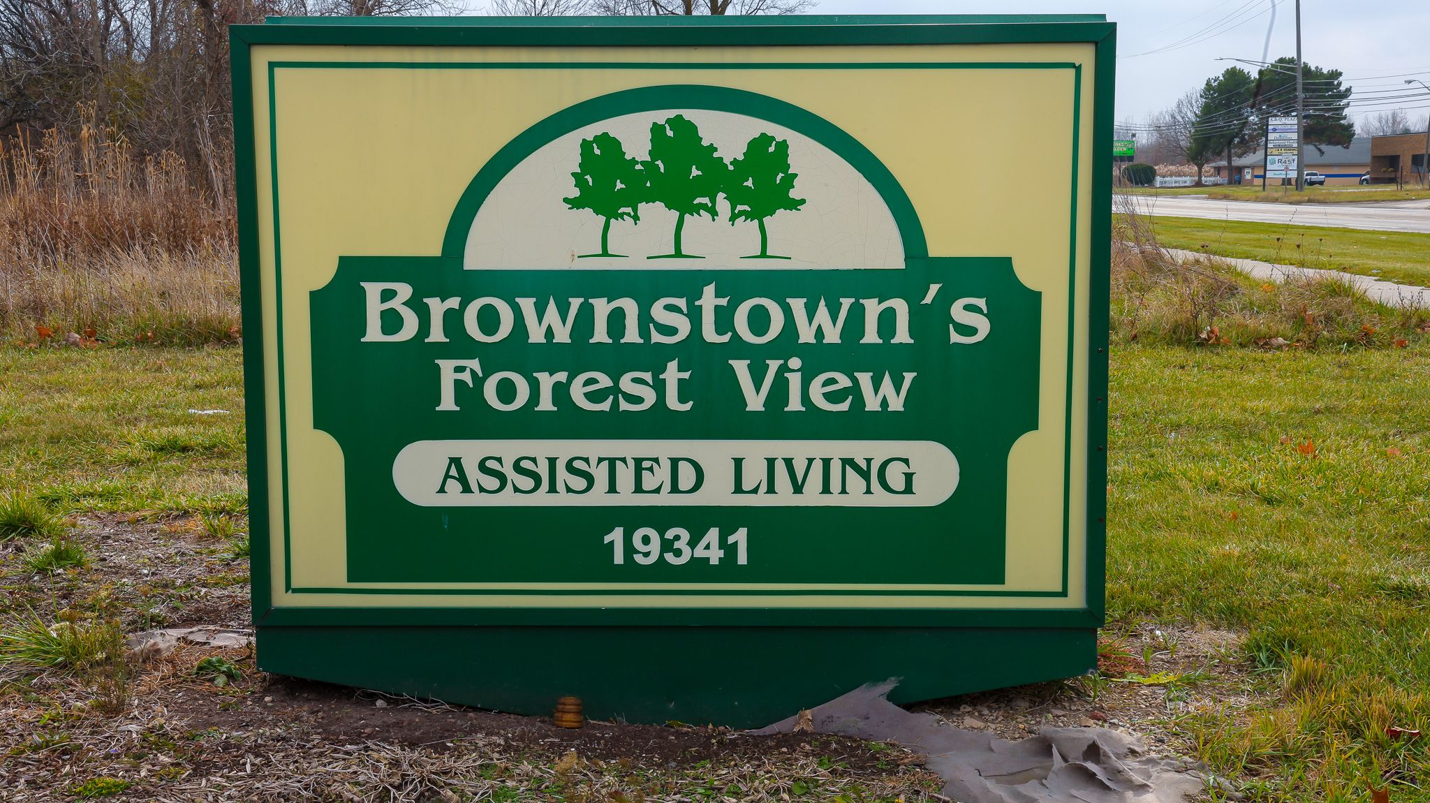 Brownstown Forest View Assisted Living 2