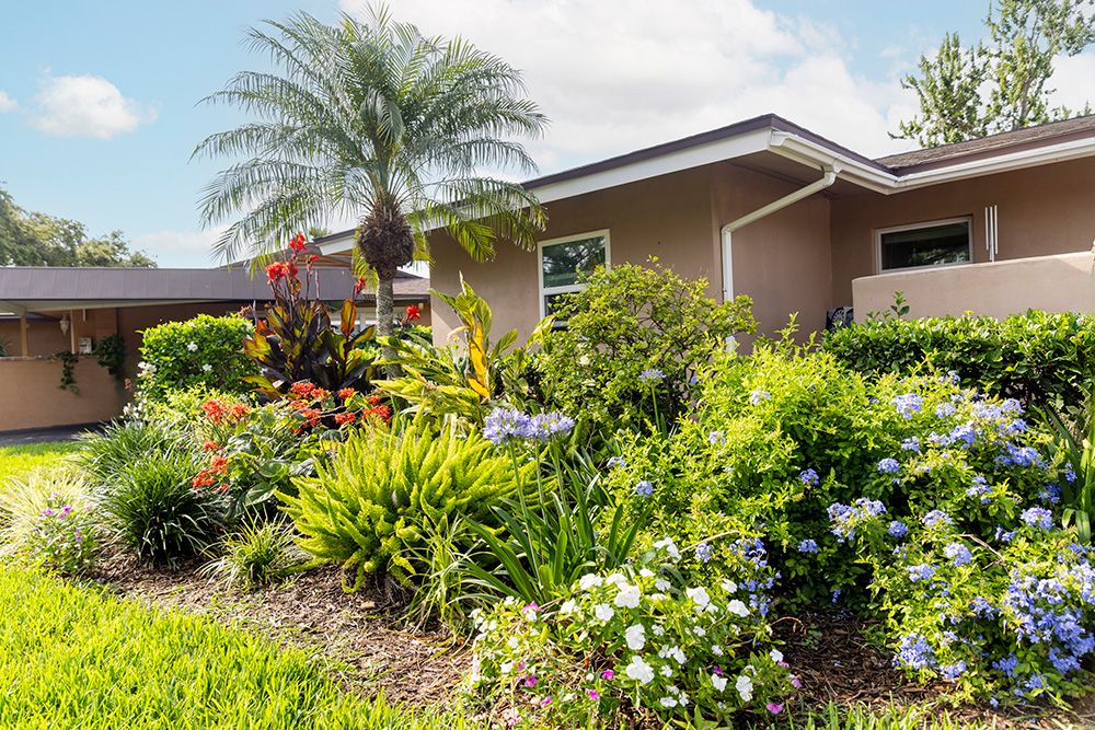 Westminster Suncoast 1