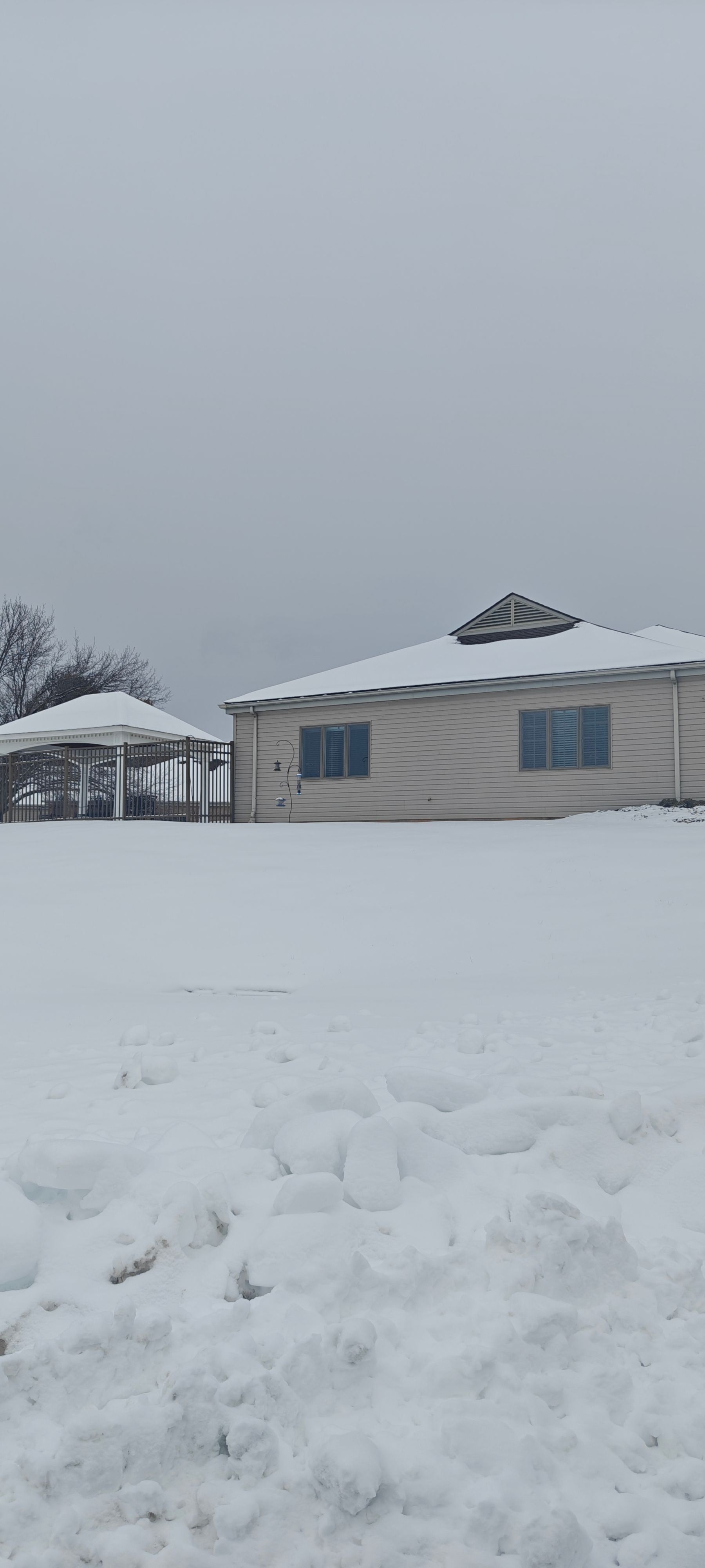 The Joseph C. Thomas Center 1