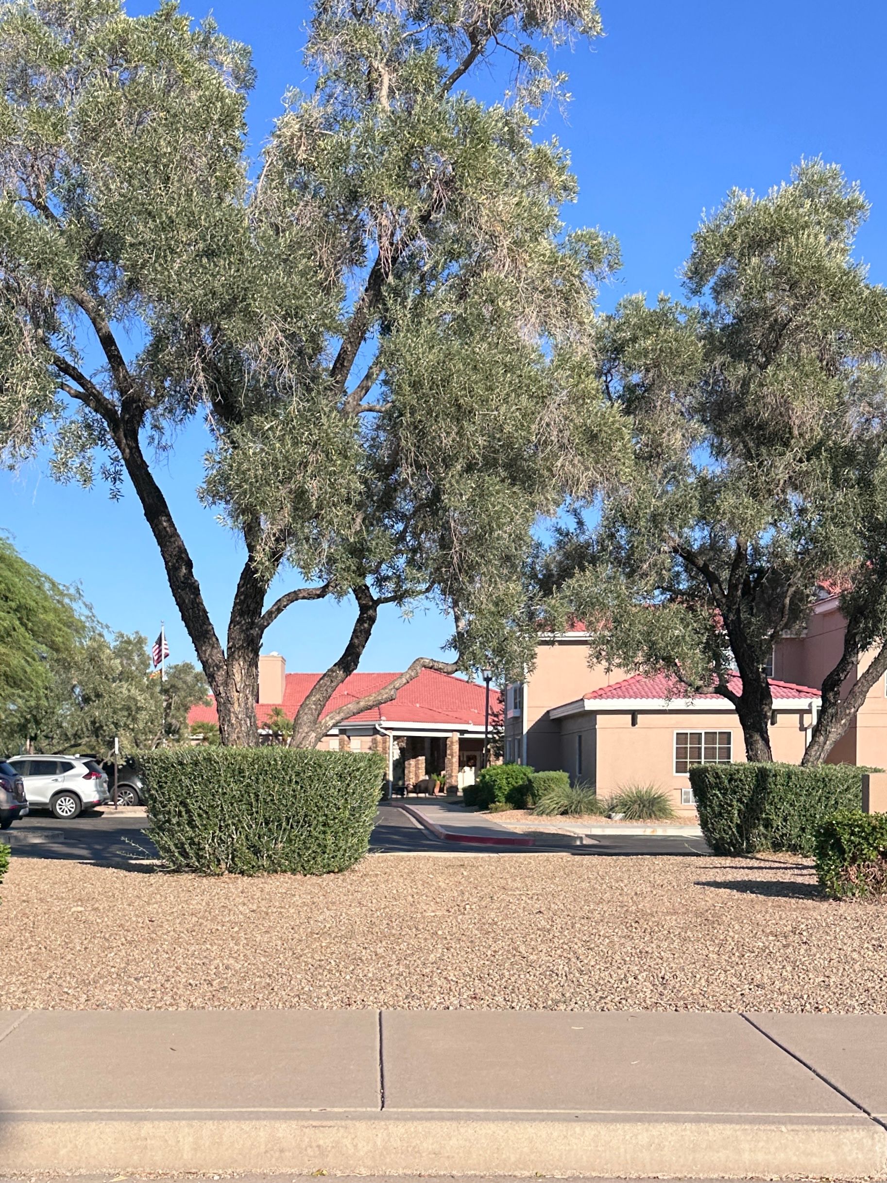 The Gardens of Scottsdale 2