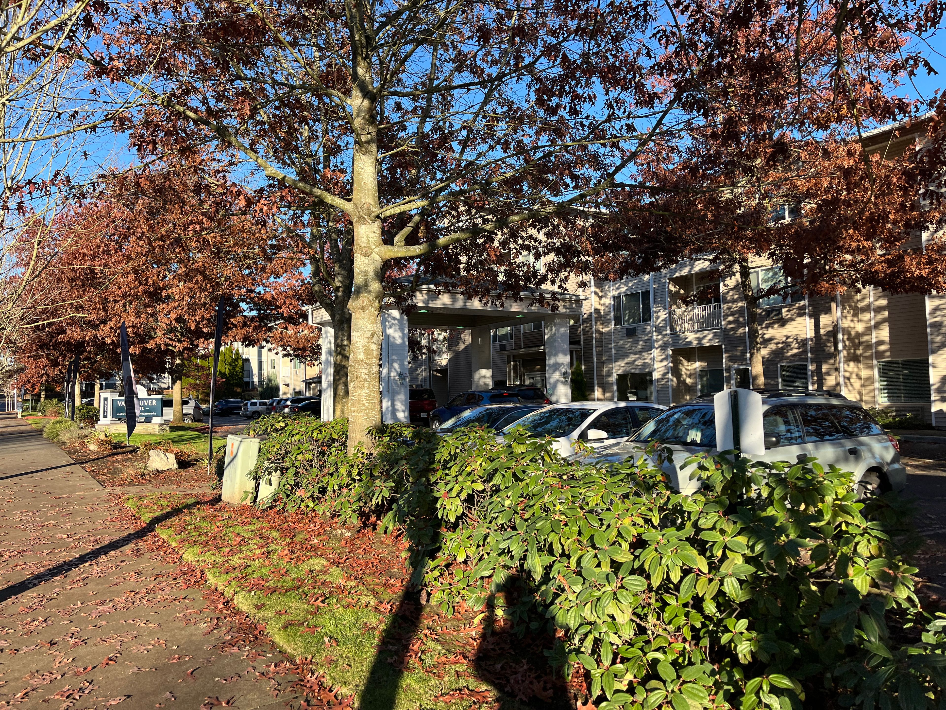 Vancouver Pointe 3