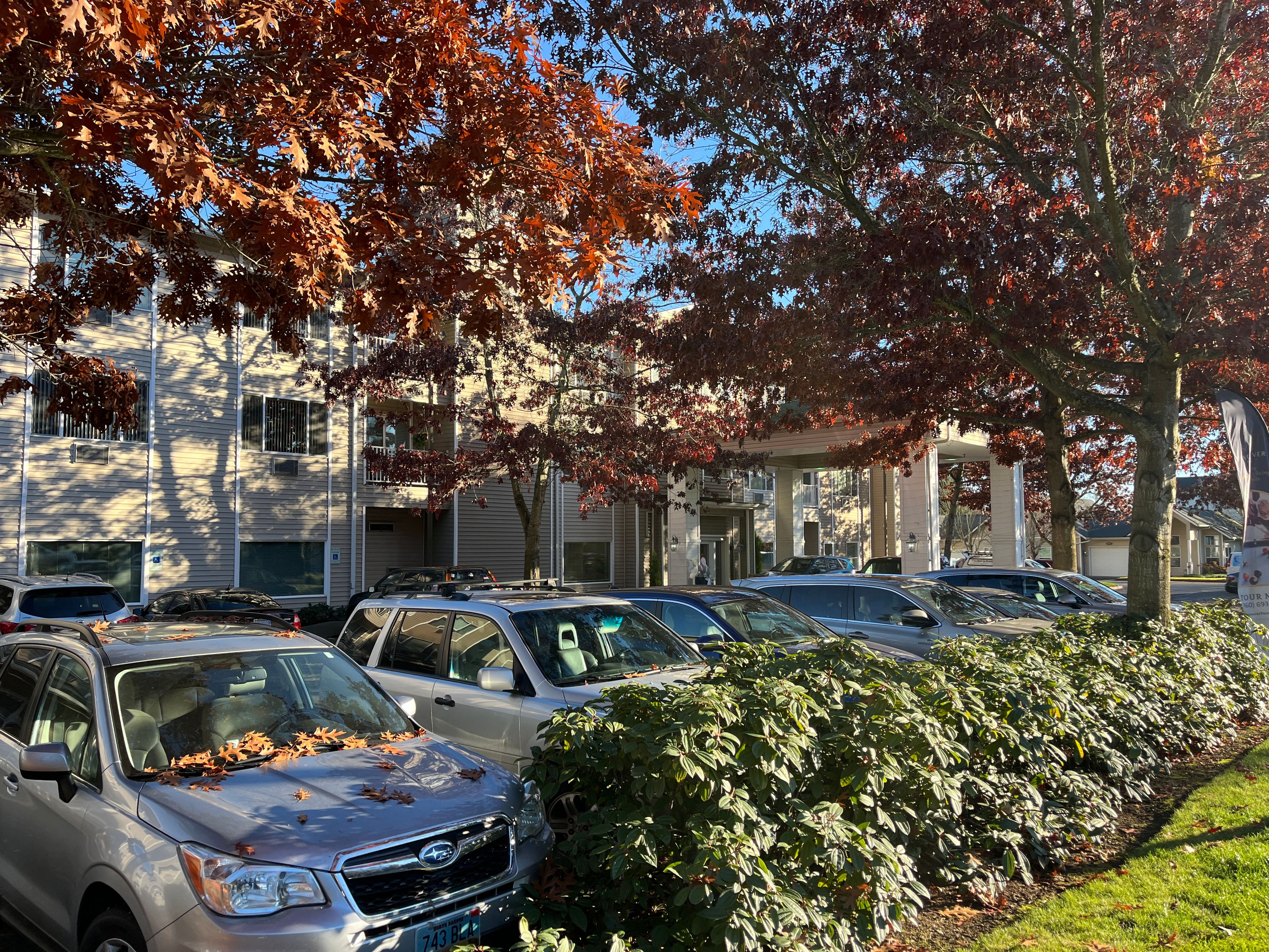 Vancouver Pointe 4