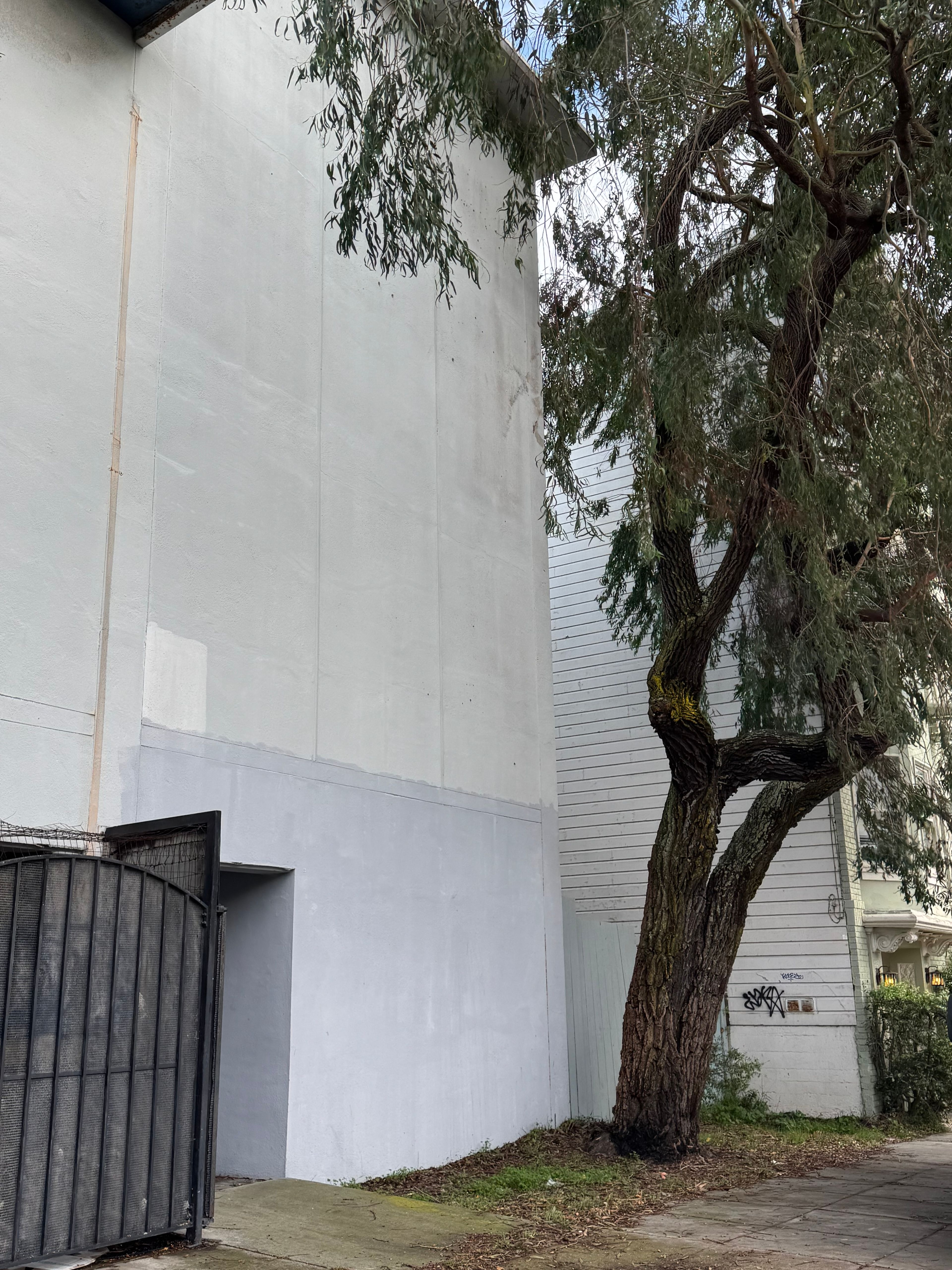 San Francisco Health Care 4