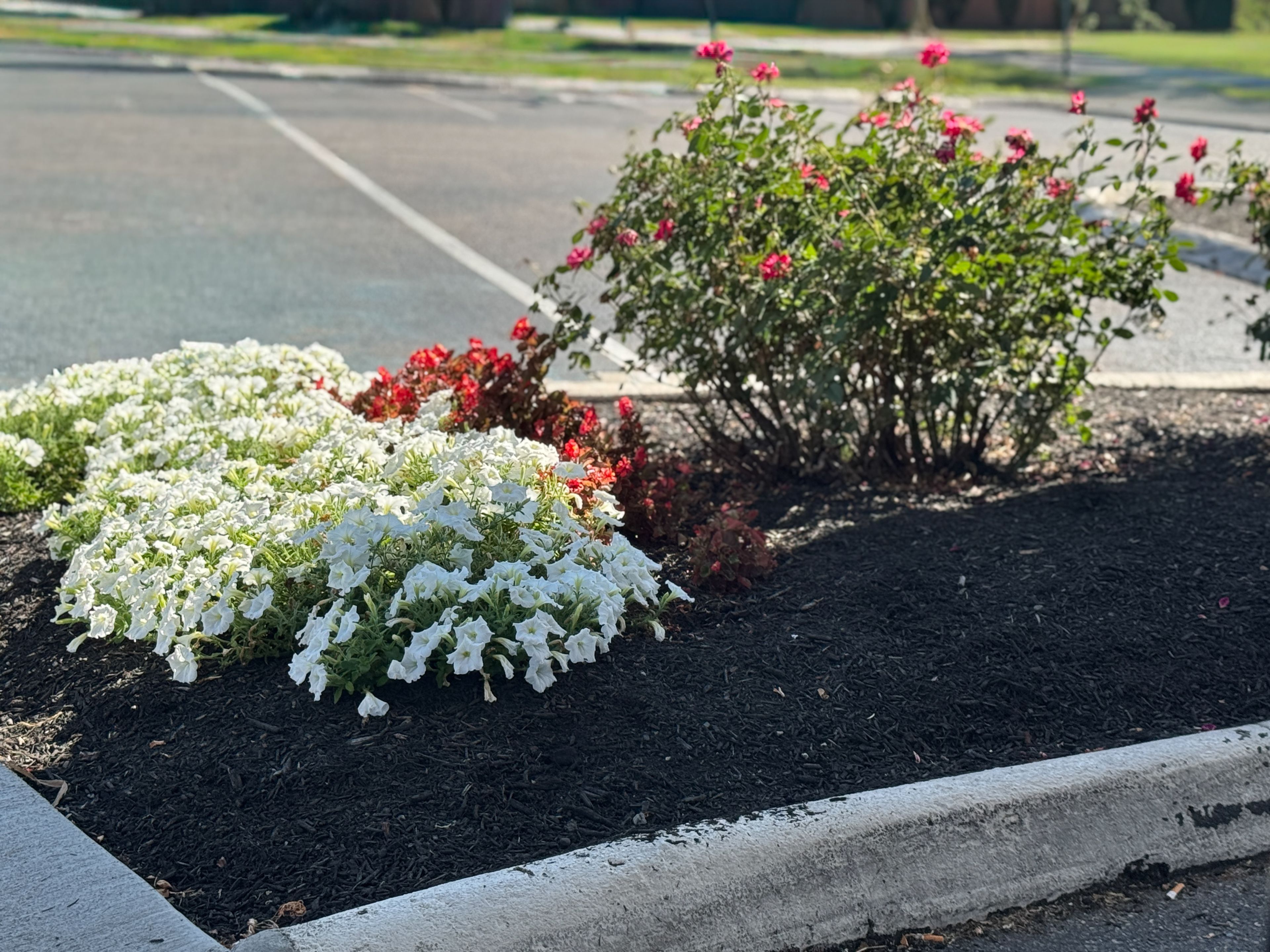 Majestic Care of Fairfield Assisted Living 4