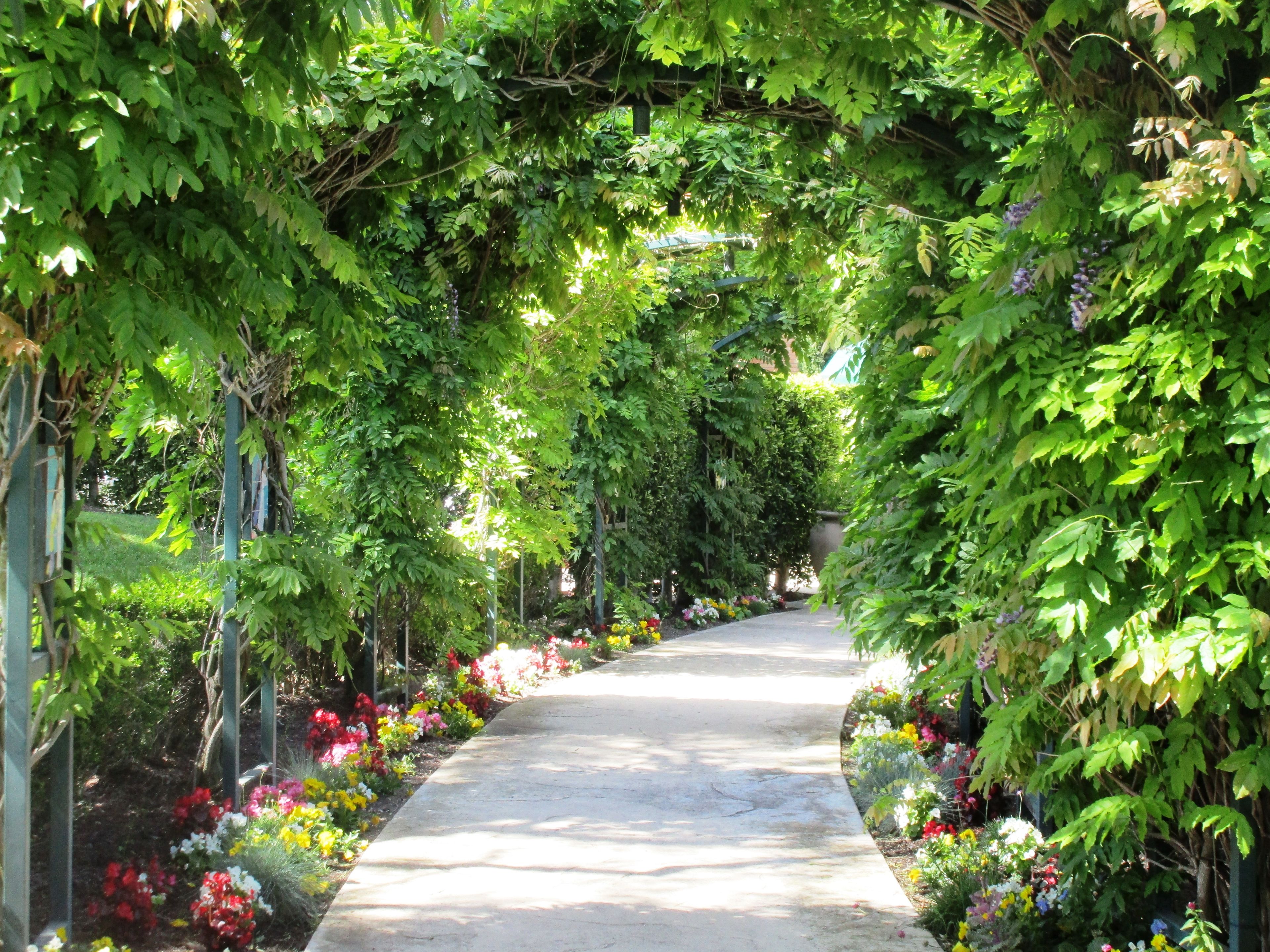 Serenity Senior Village 2