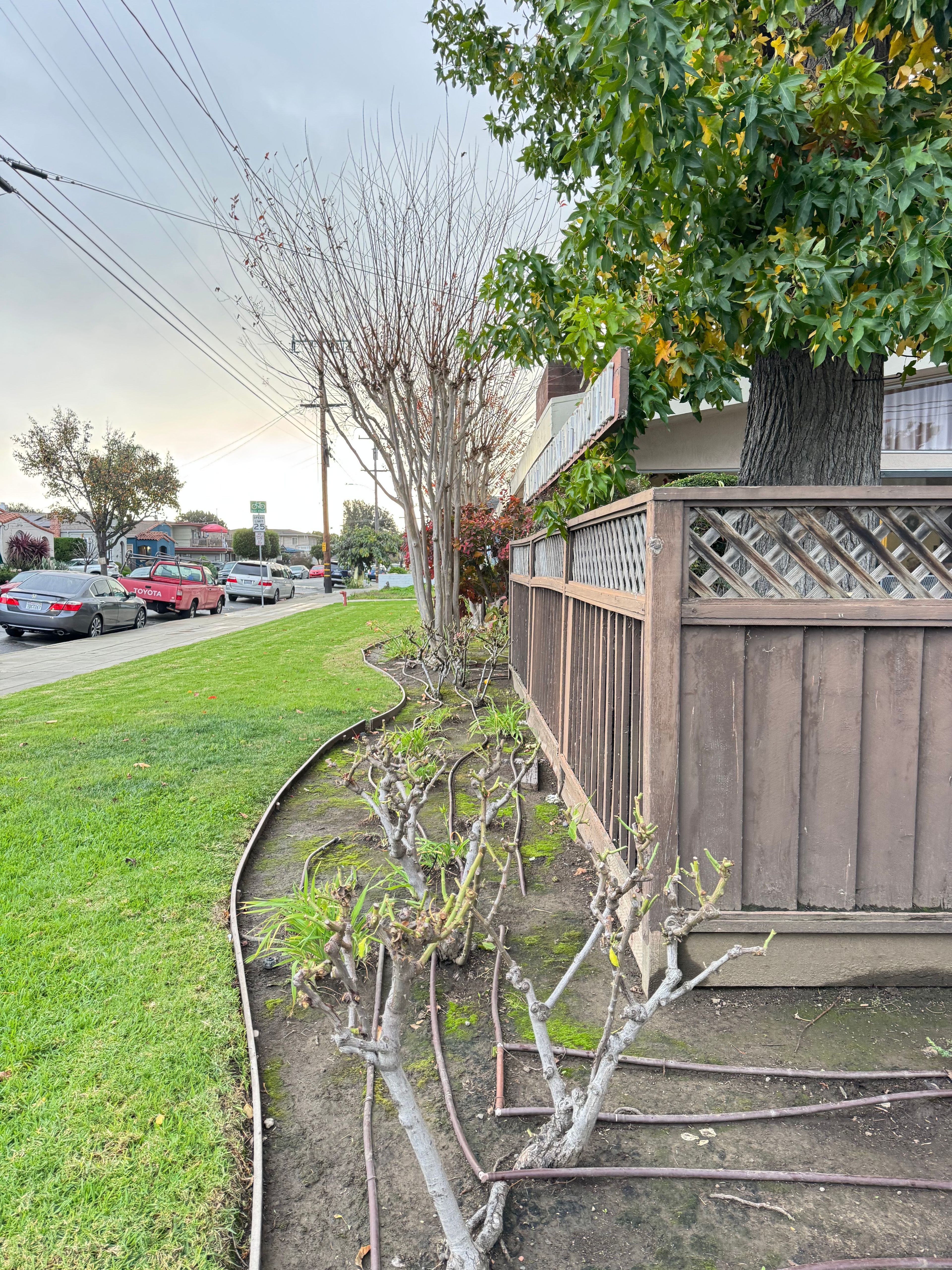 Bancroft Healthcare Center 4