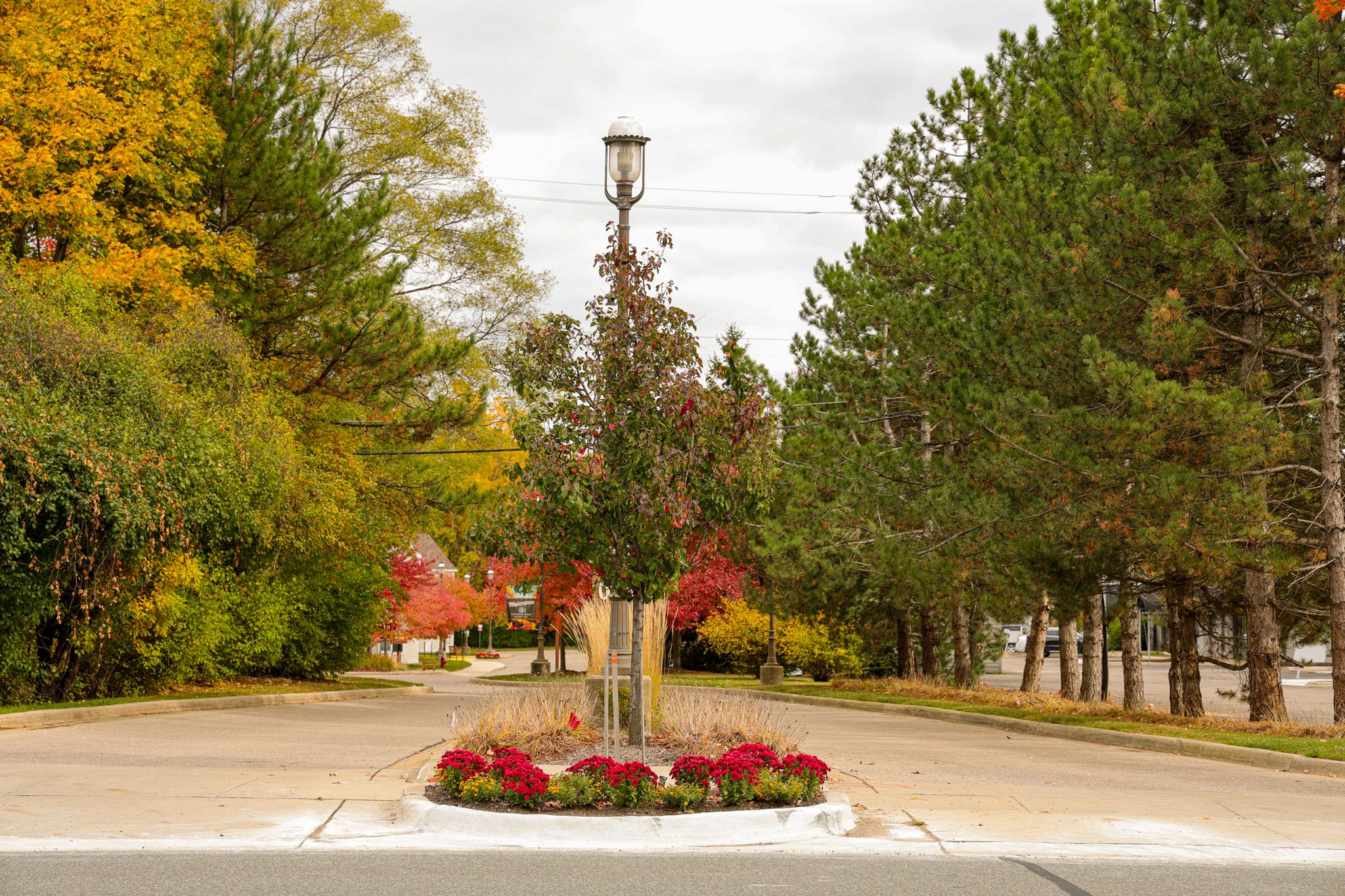 Samaritas Senior Living I 3