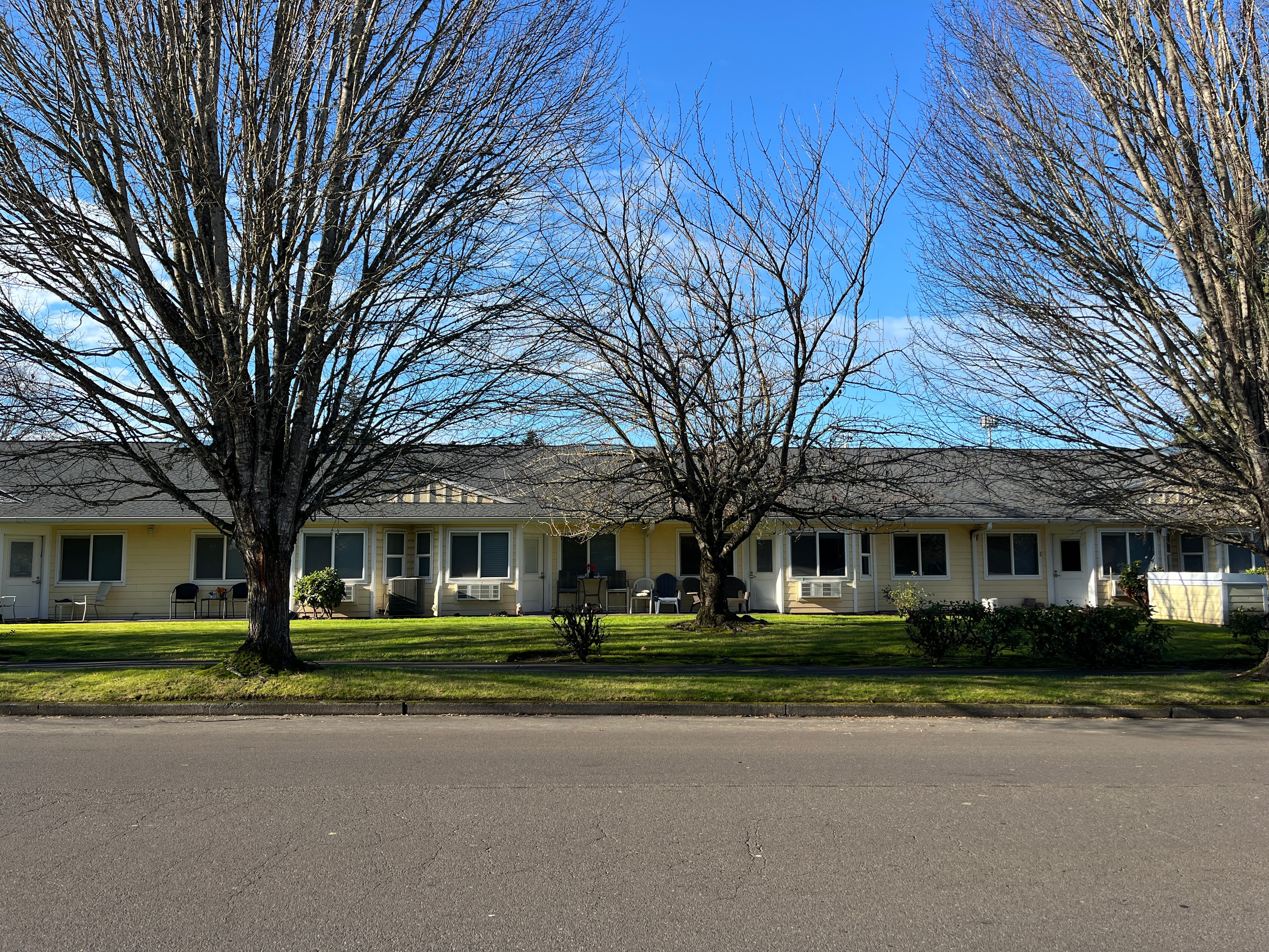 Forest Grove Beehive 1