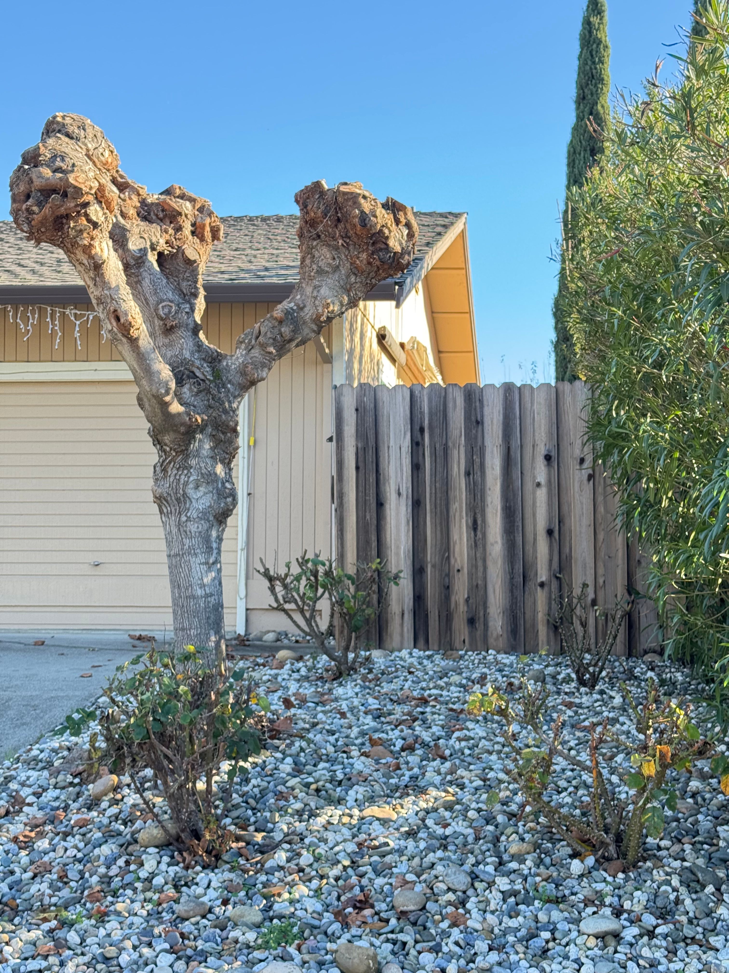 Abraham Rest Home (1095 Bancroft Ct) 3