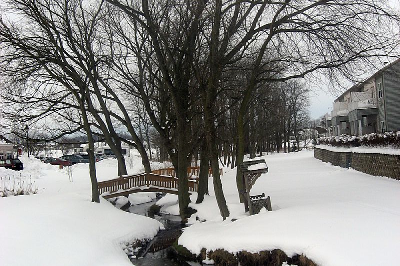 Homewood At Plum Creek 2