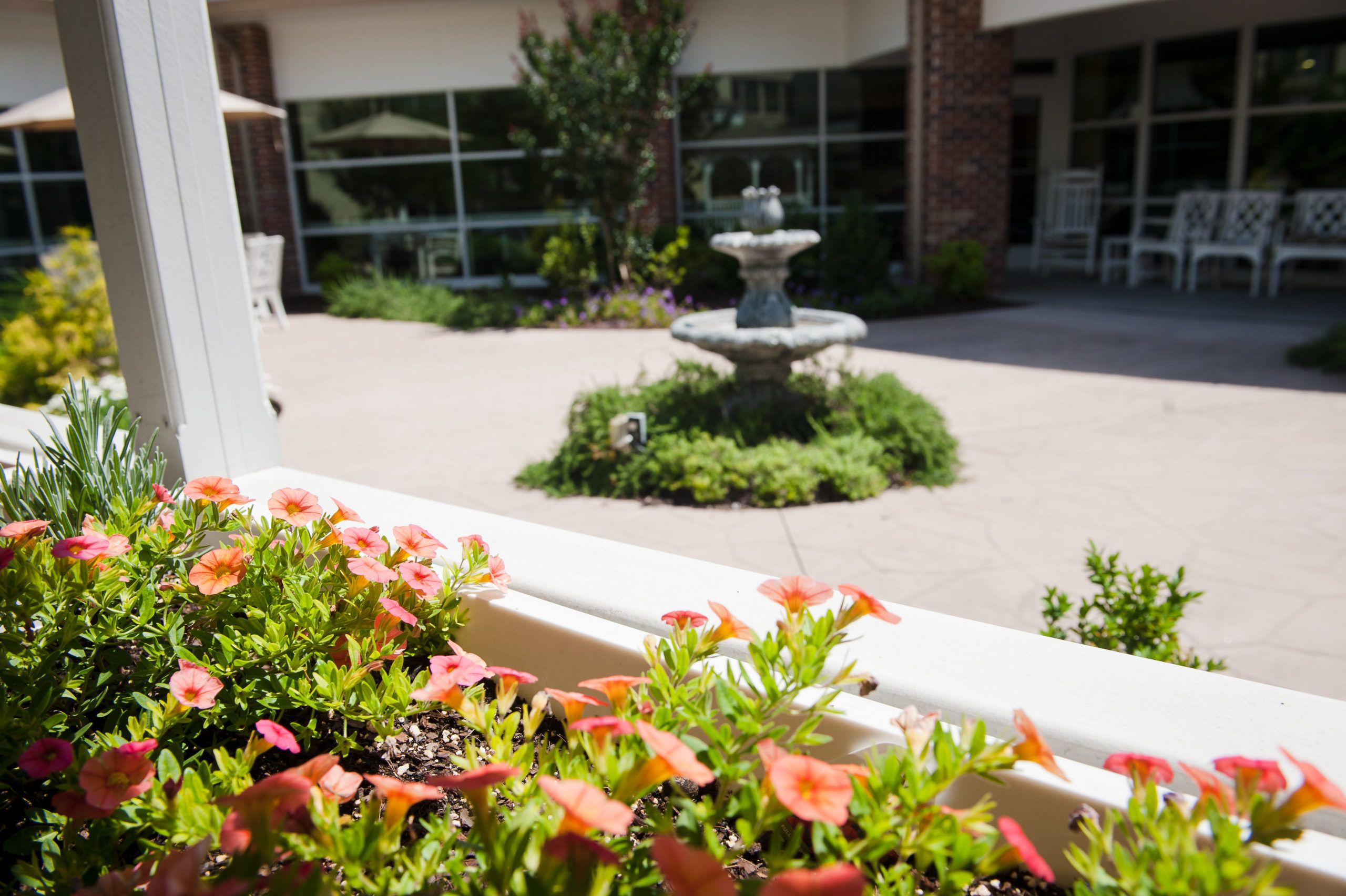 Commonwealth Senior Living at Kings Grant House 4