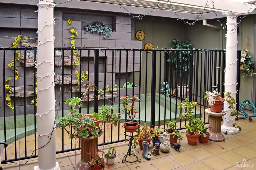 Penny's Guest Home (Alray) 4