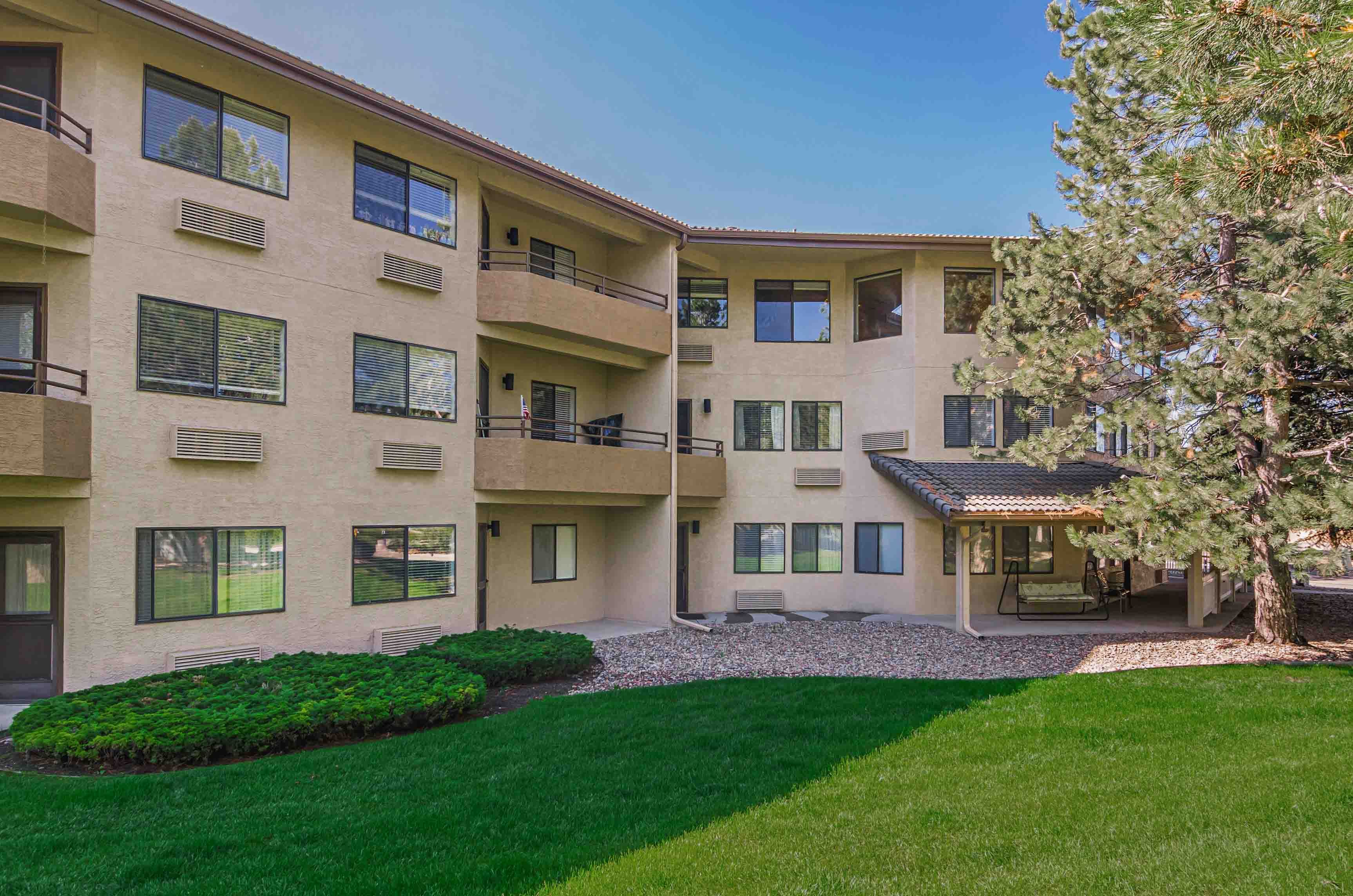 Solista Longmont 2