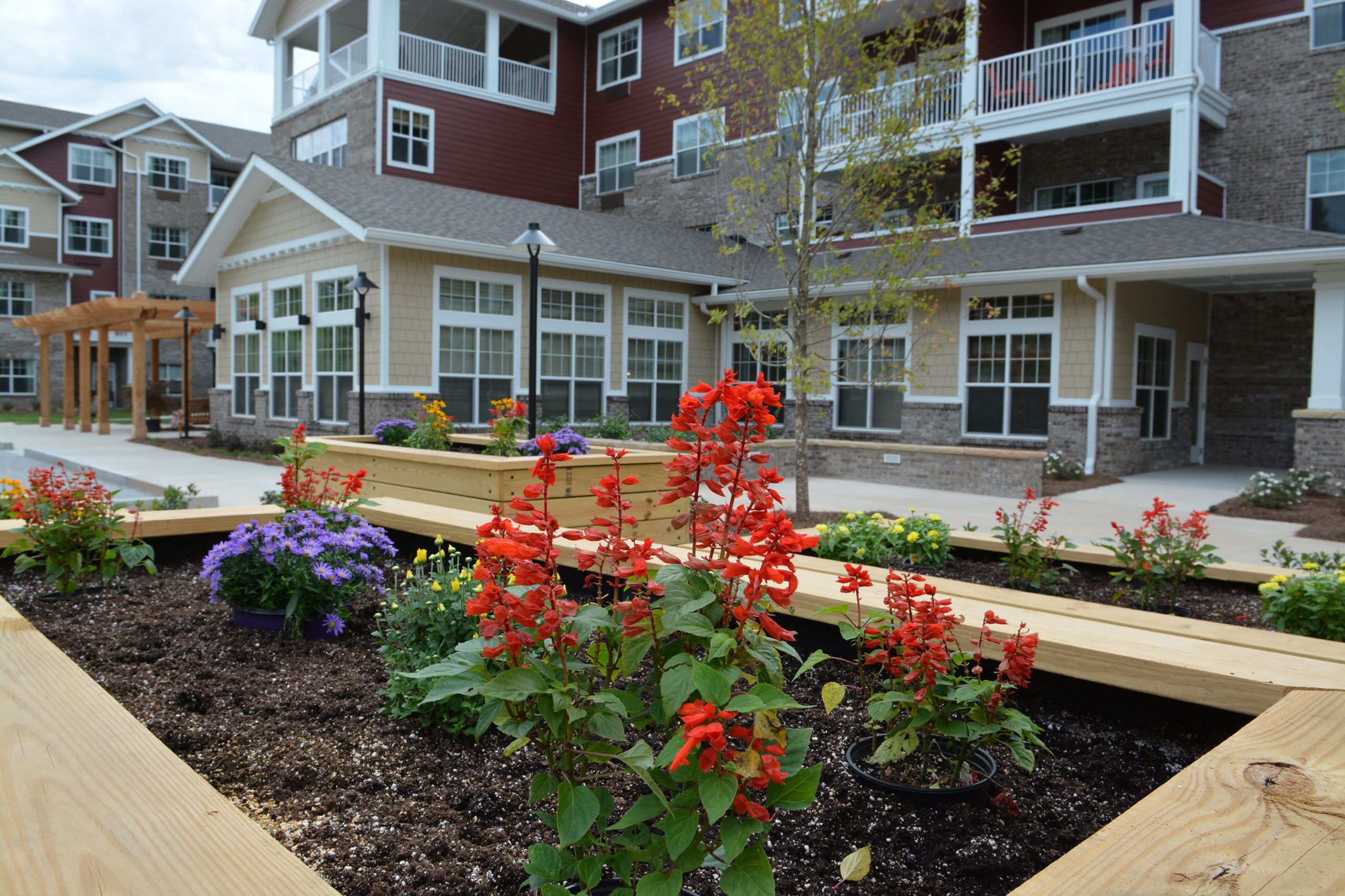 Ashwood Meadows Gracious Retirement Living 4