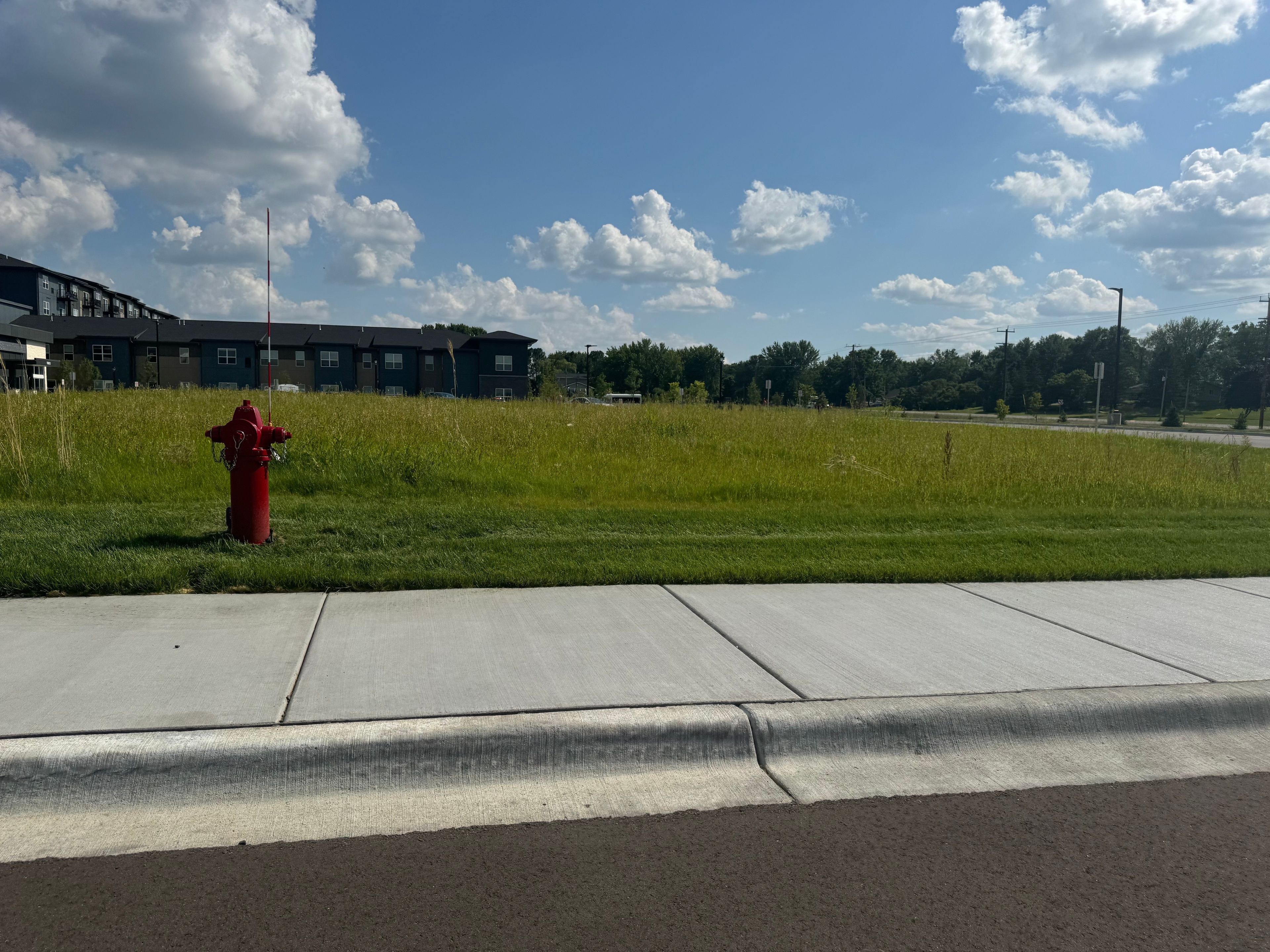 Saint Therese Of Corcoran  4