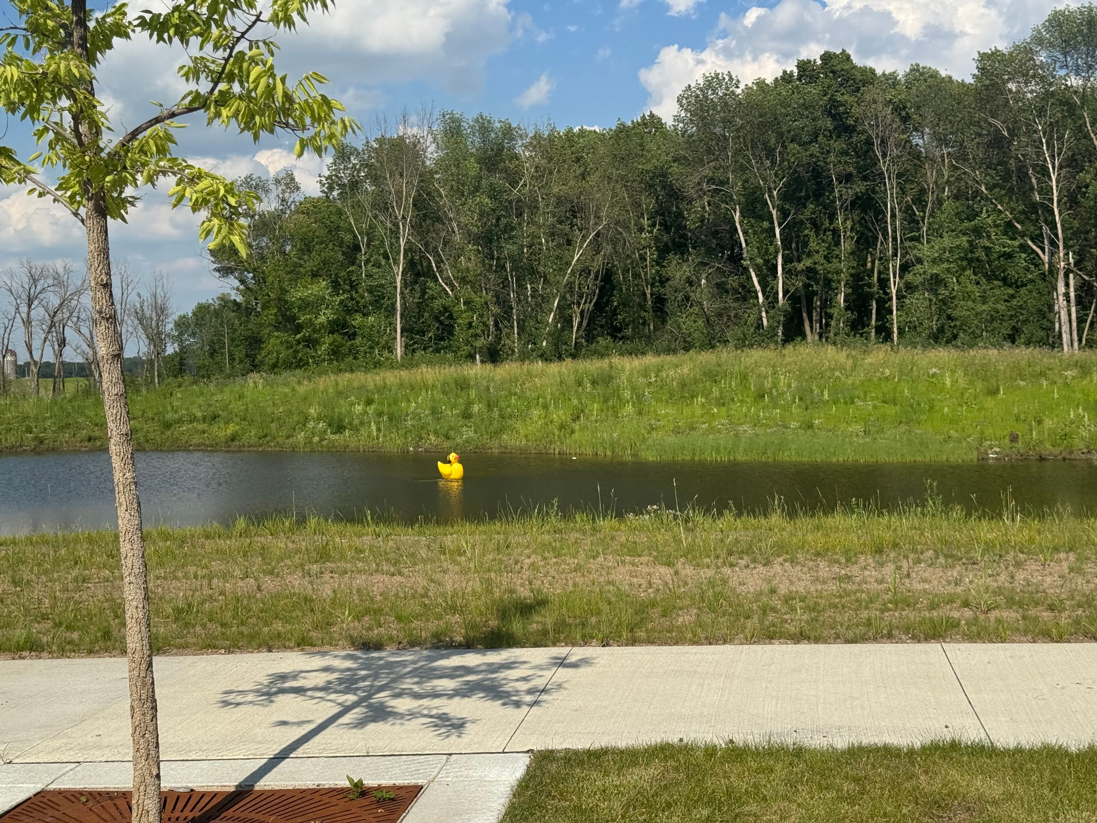 Saint Therese Of Corcoran  1