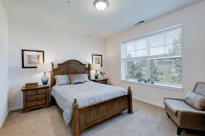 Buckingham's Choice 4